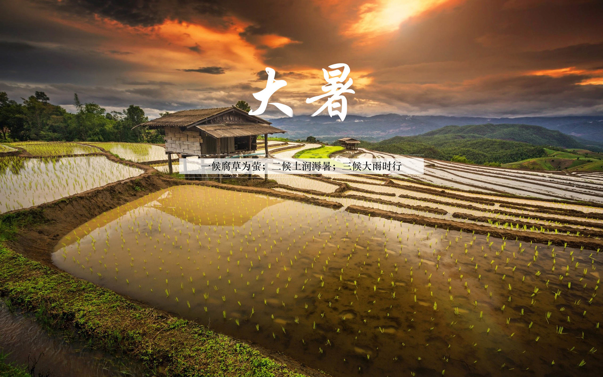 二十四节气 大暑