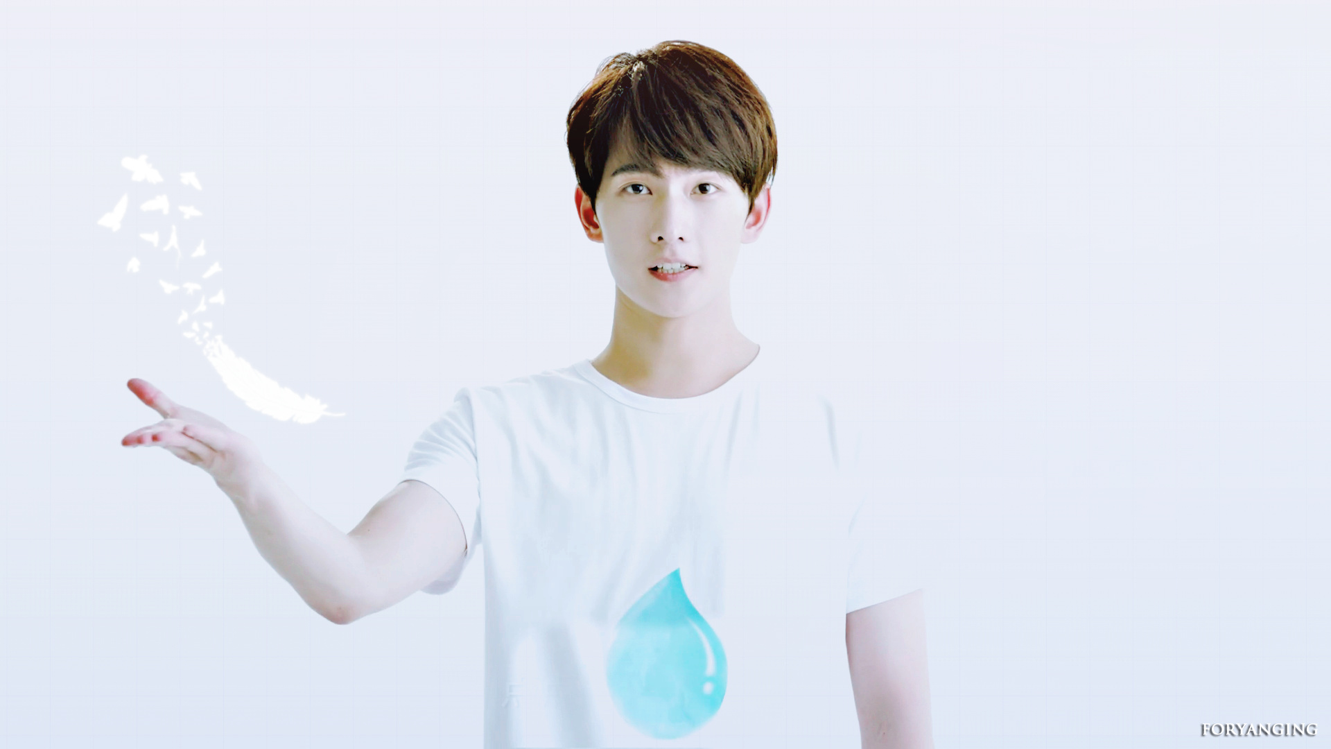 明星 杨洋 小鲜肉