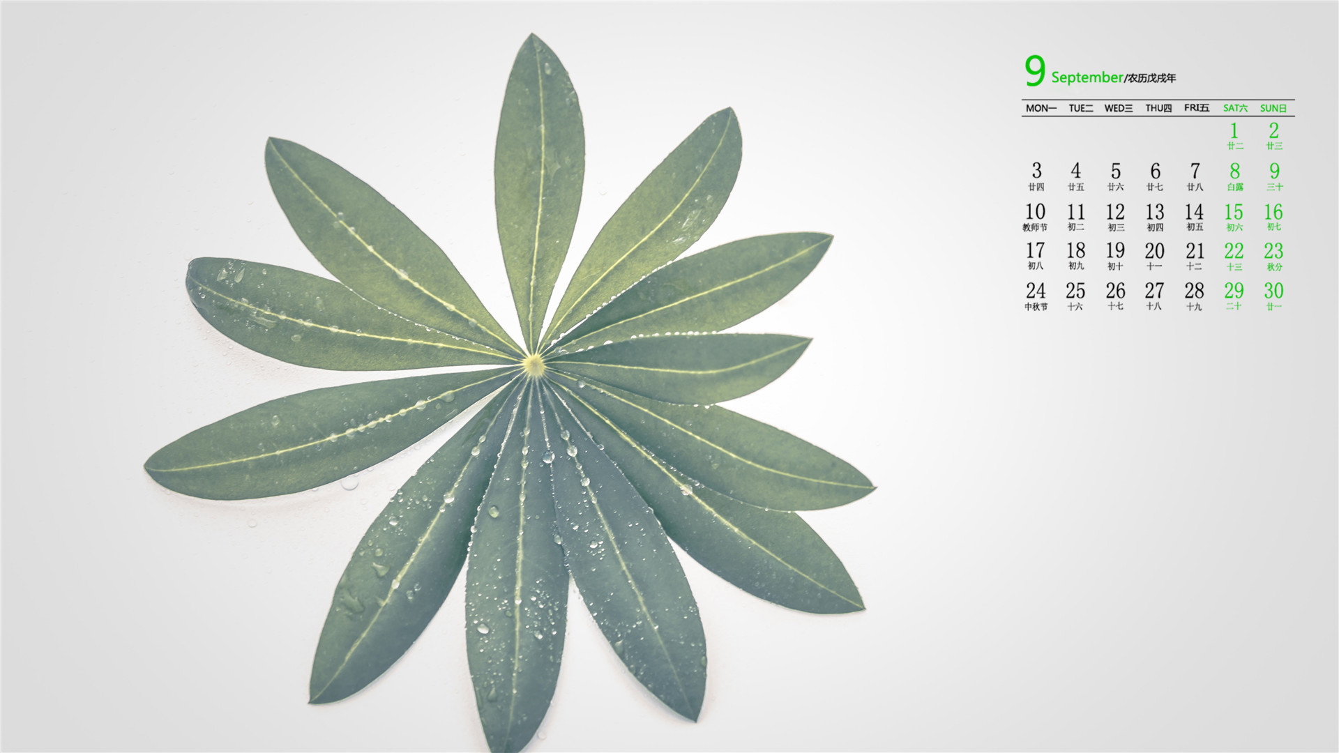 日历  9月  2018年9月