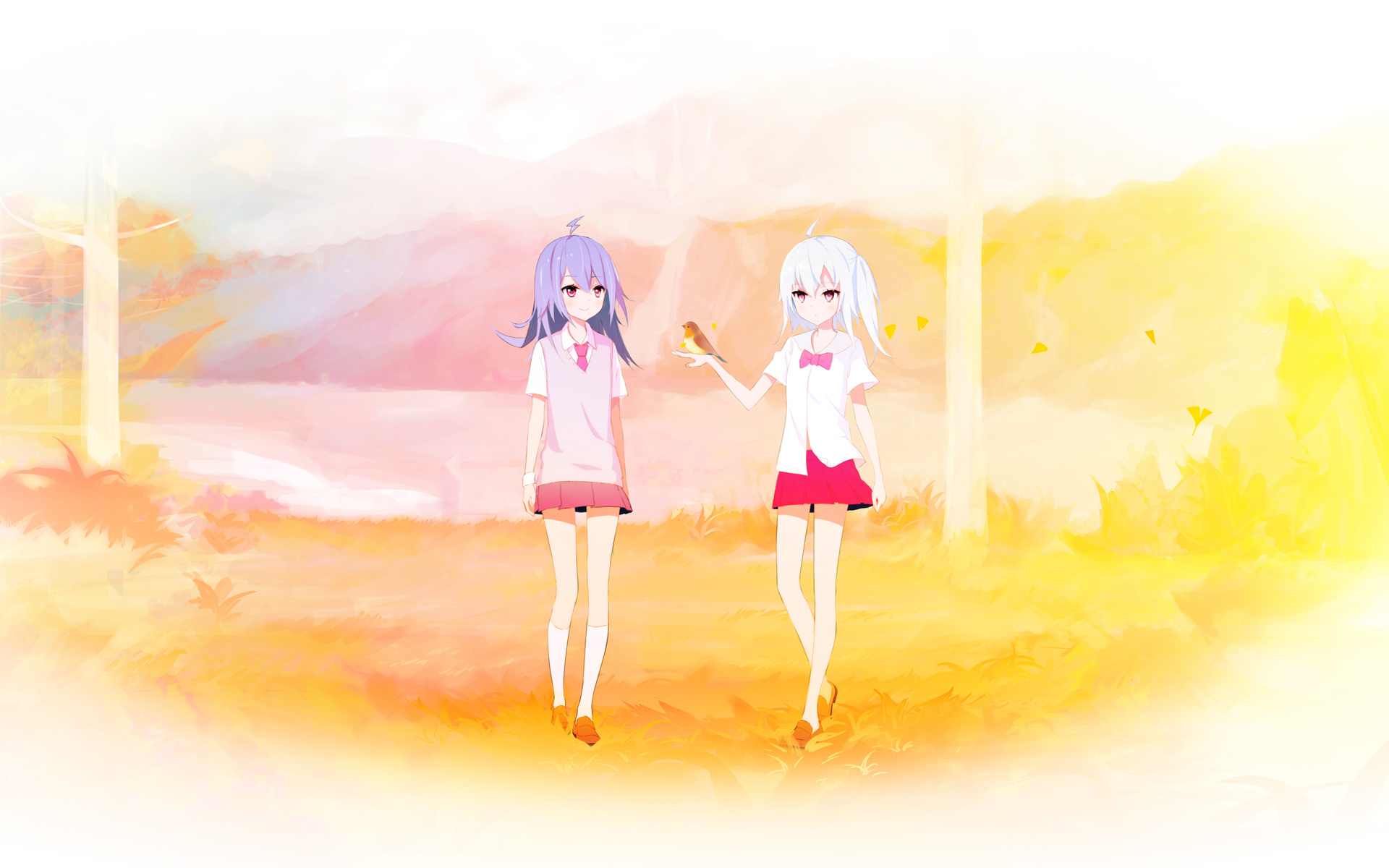 bilibili 哔哩哔哩 B站