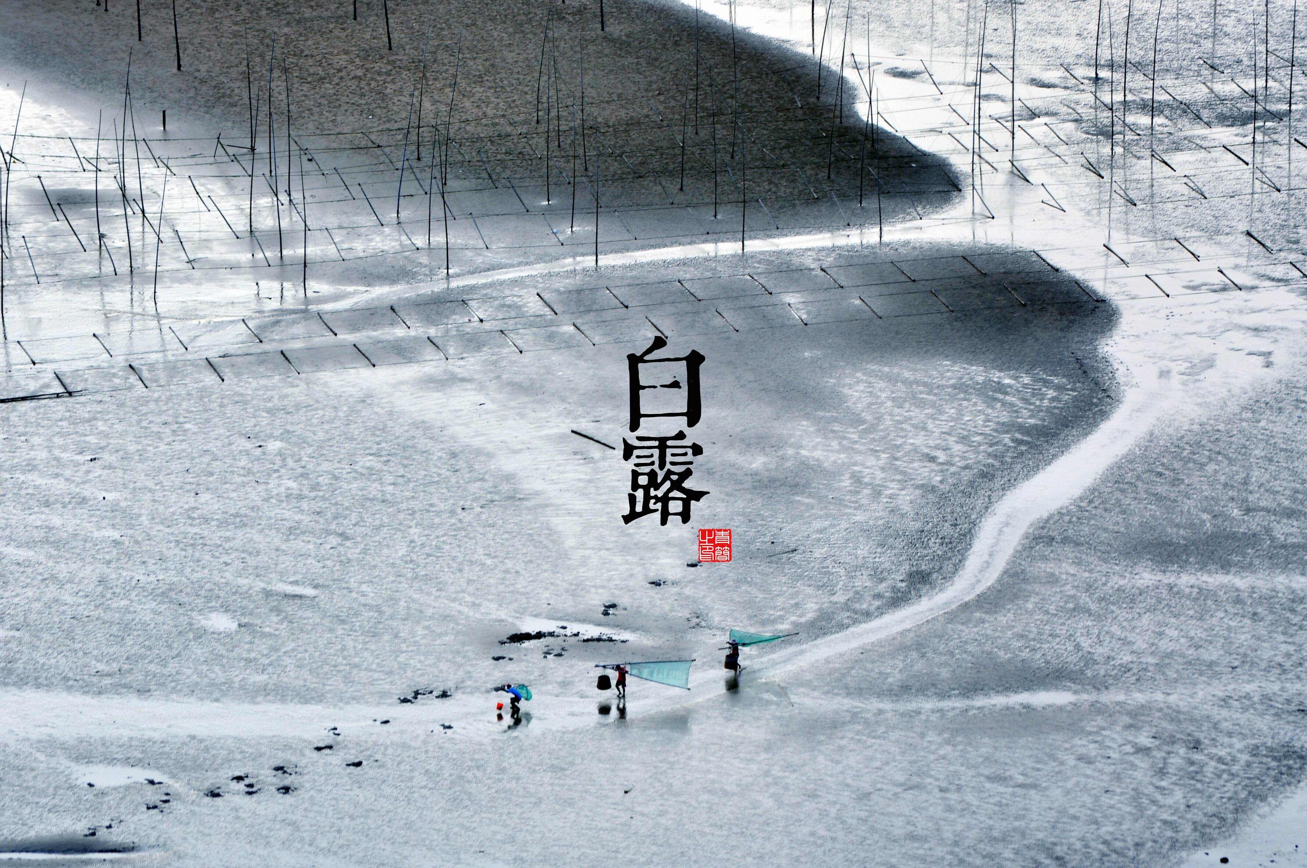 二十四节气 白露