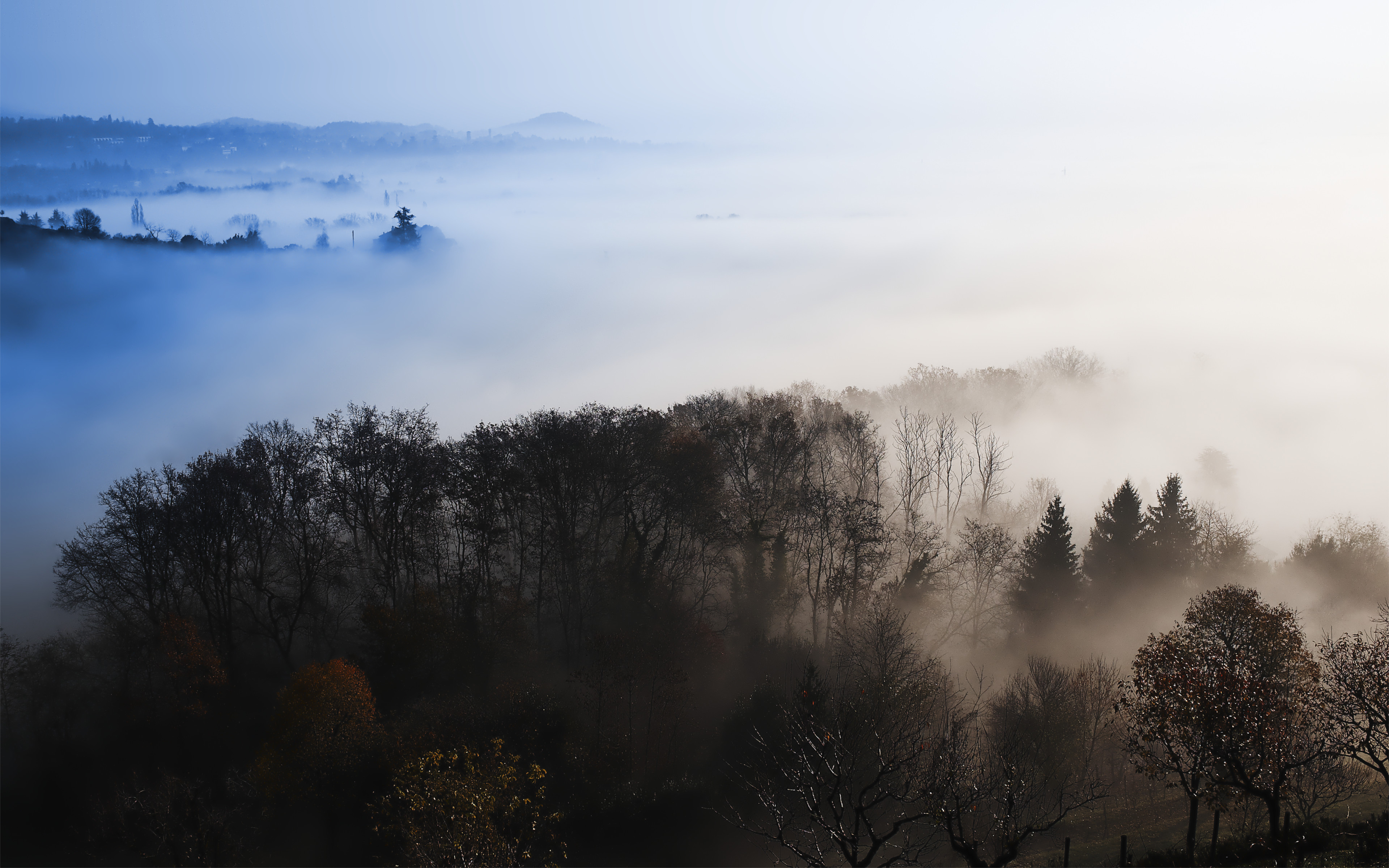 风景 美景 蓝天白云 草地