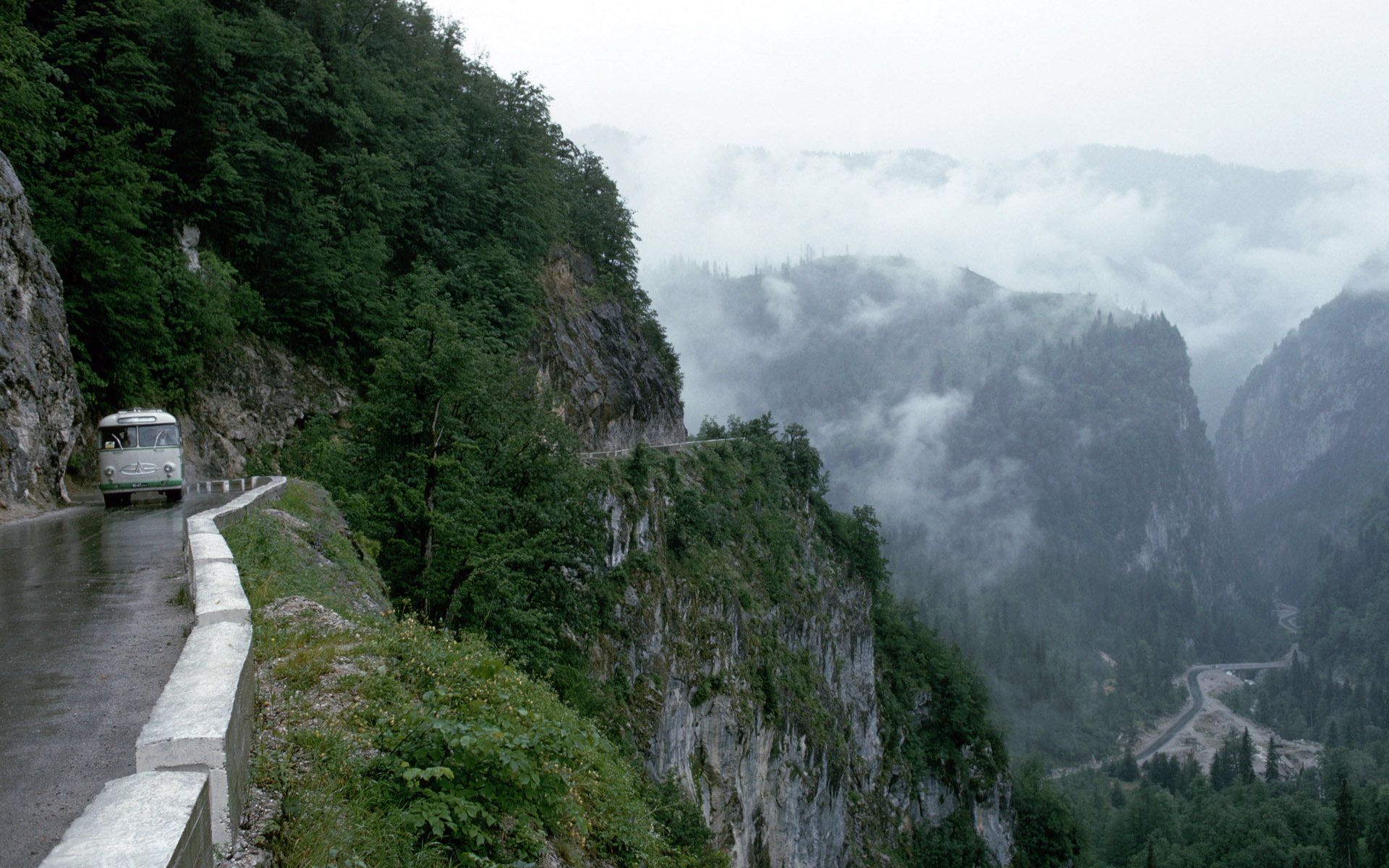 大山 森林