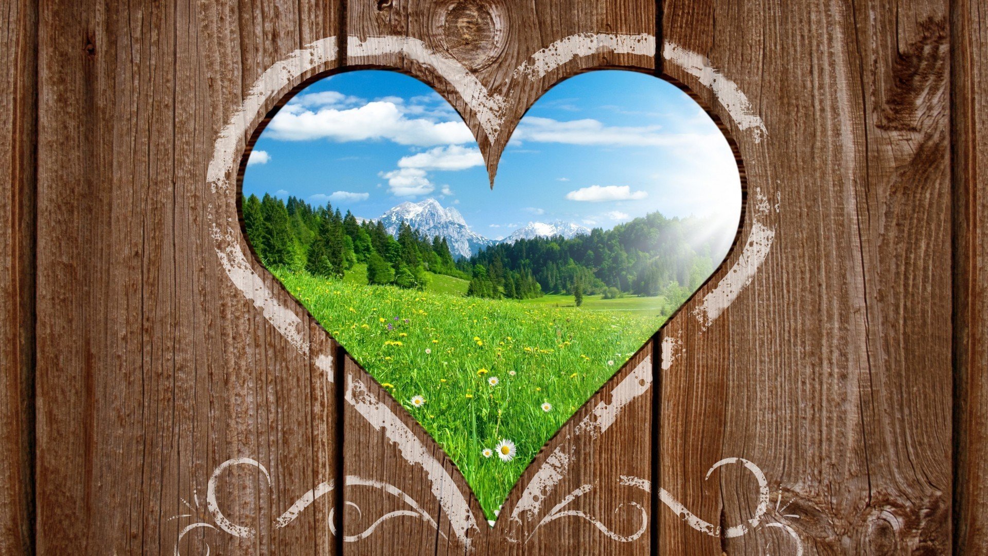 心动创意  爱情的世界