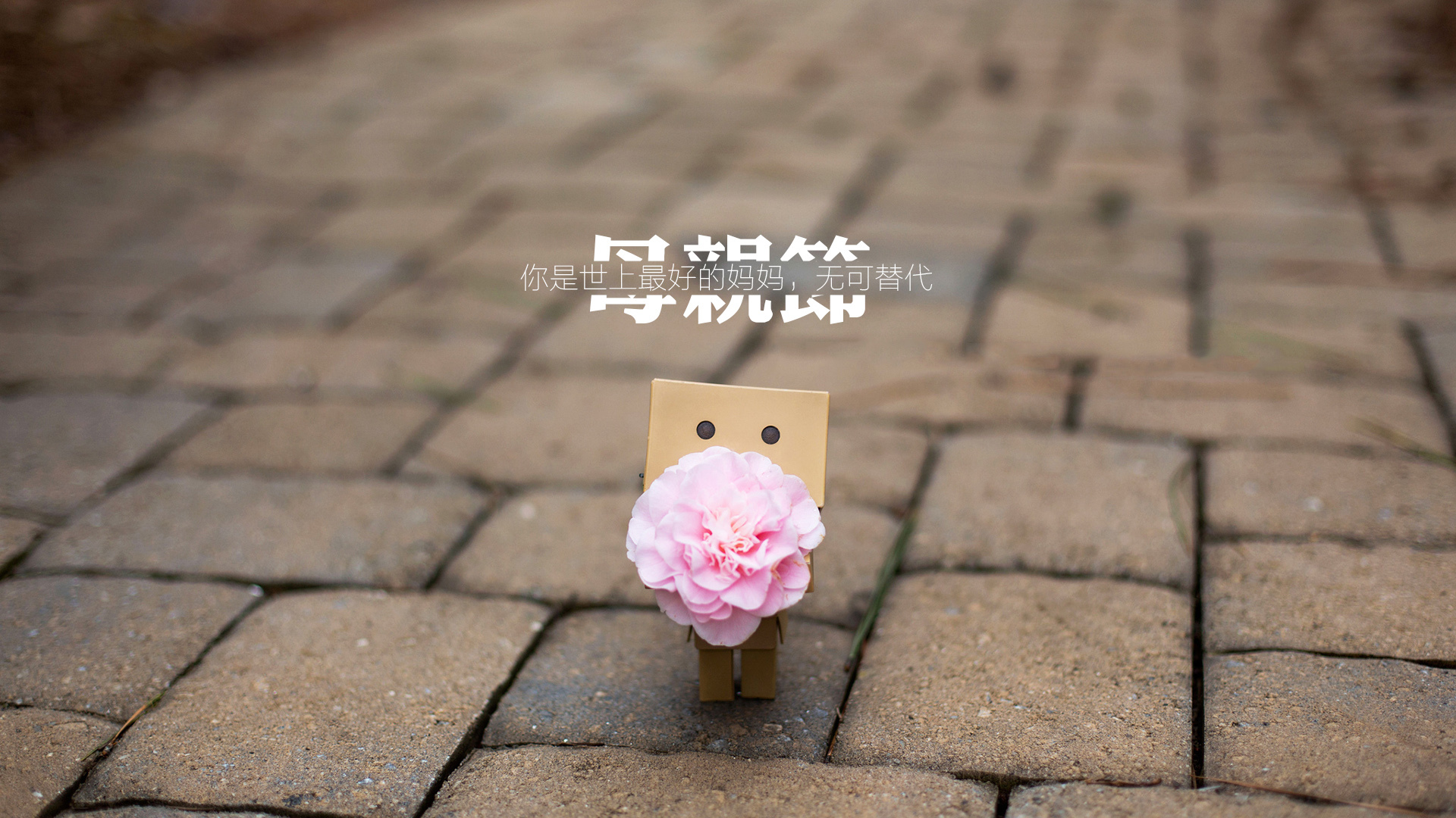 节日 母亲节 513