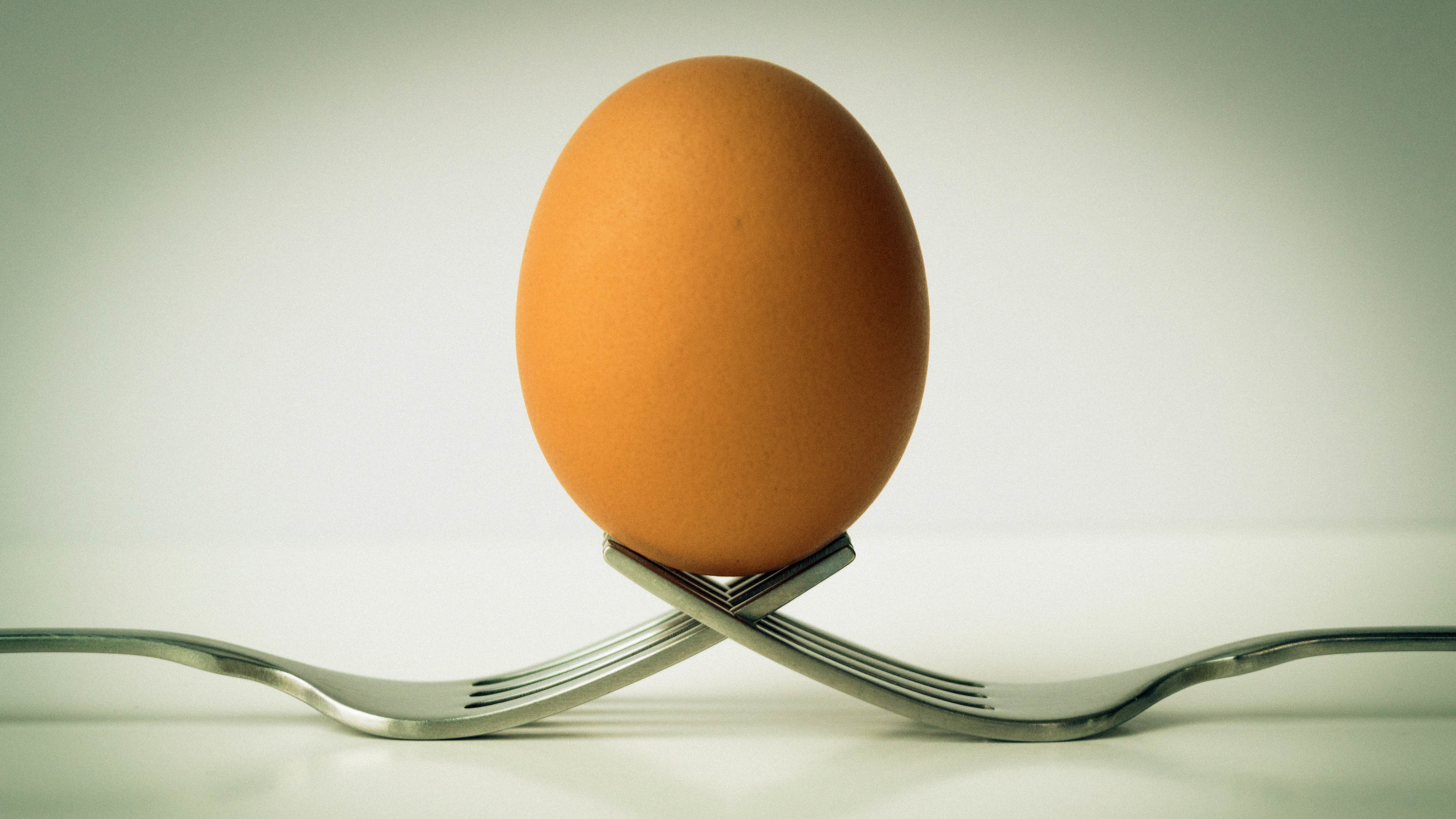 两支叉子和一颗鸡蛋