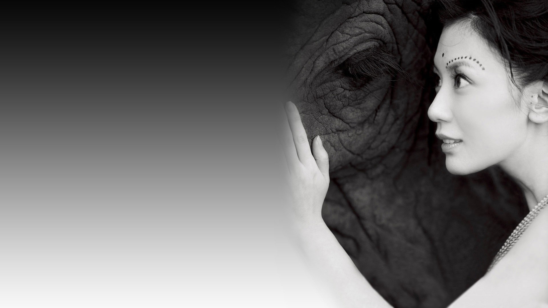 贾静雯 演员 美女 明星