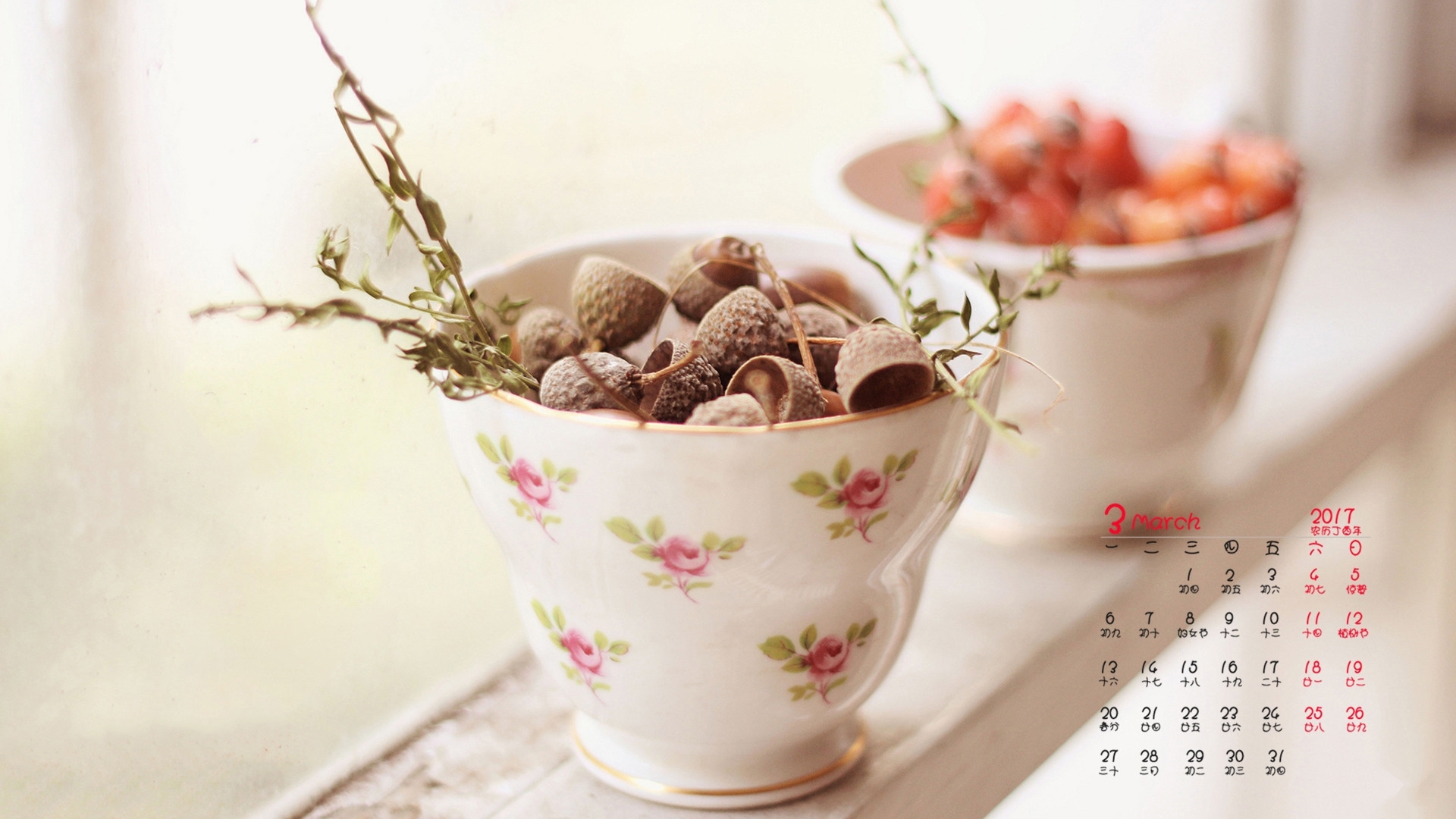 2017年3月 小清新 植物