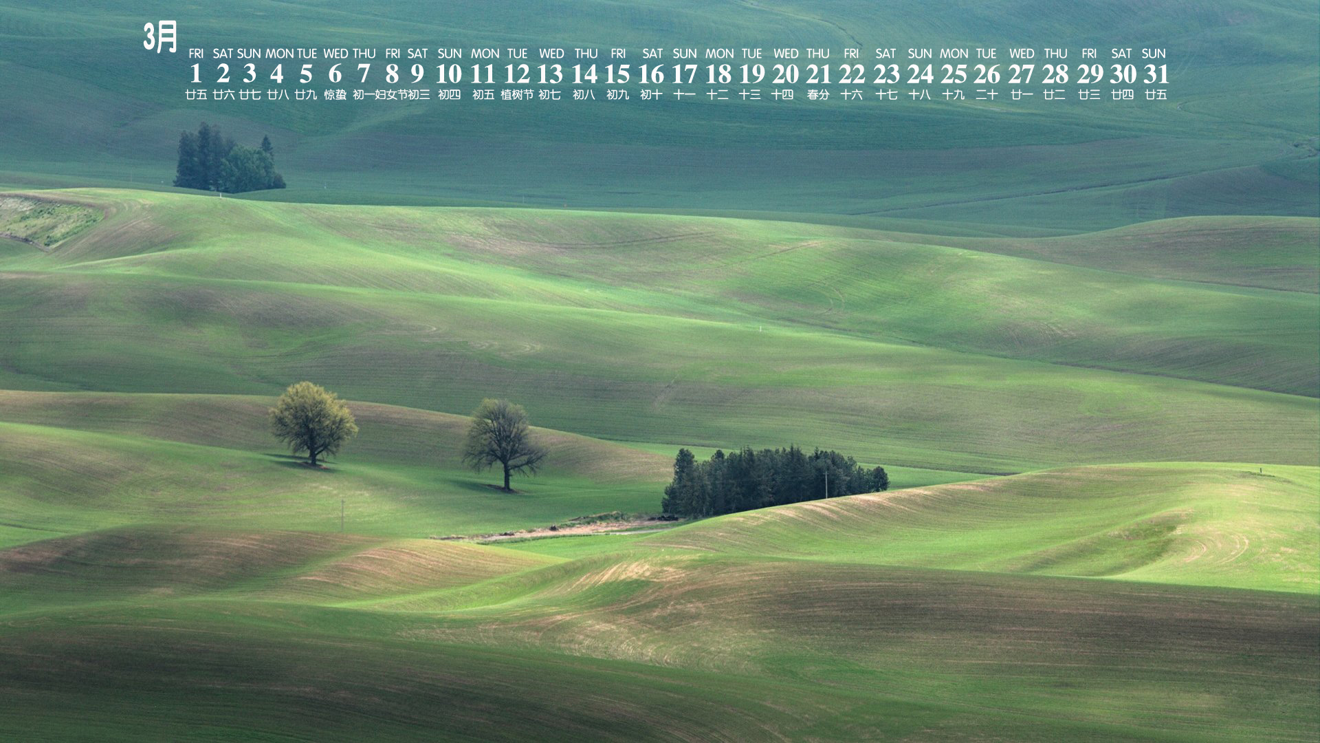 月历 2019年3月