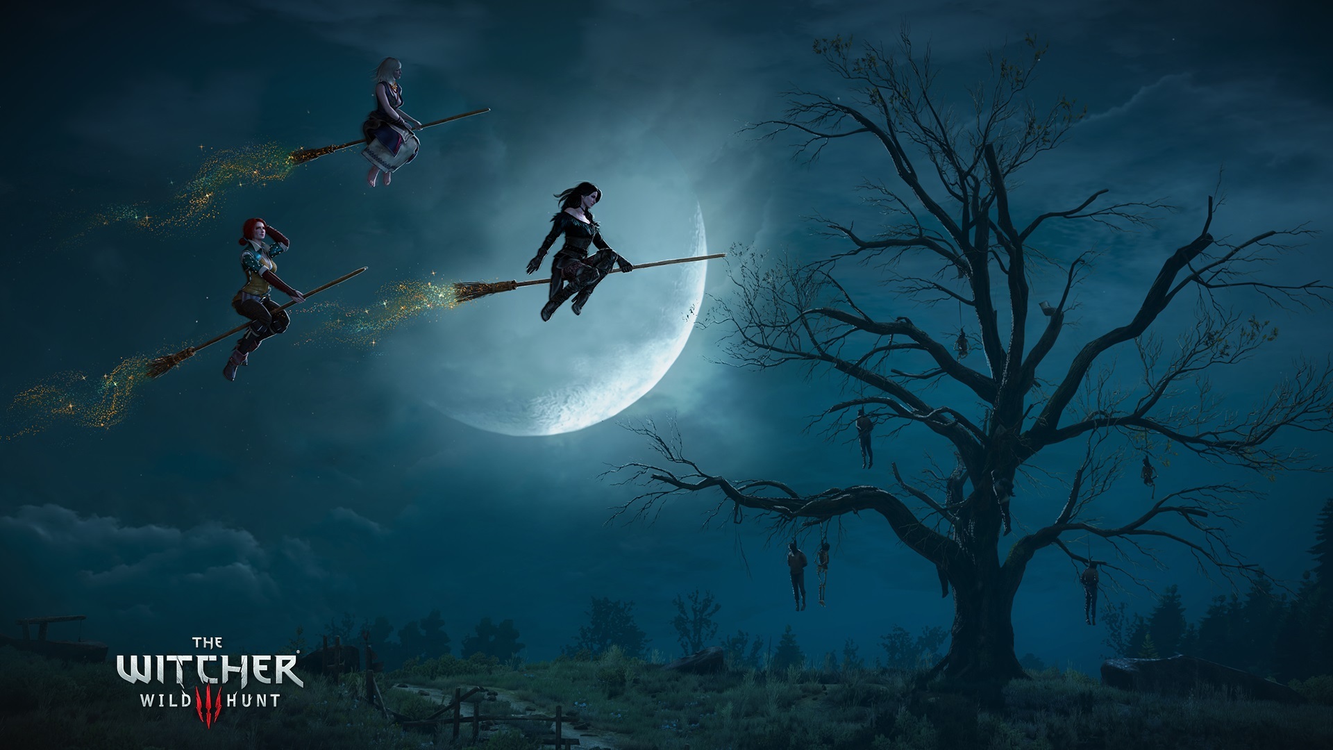 游戏 主机游戏 巫师