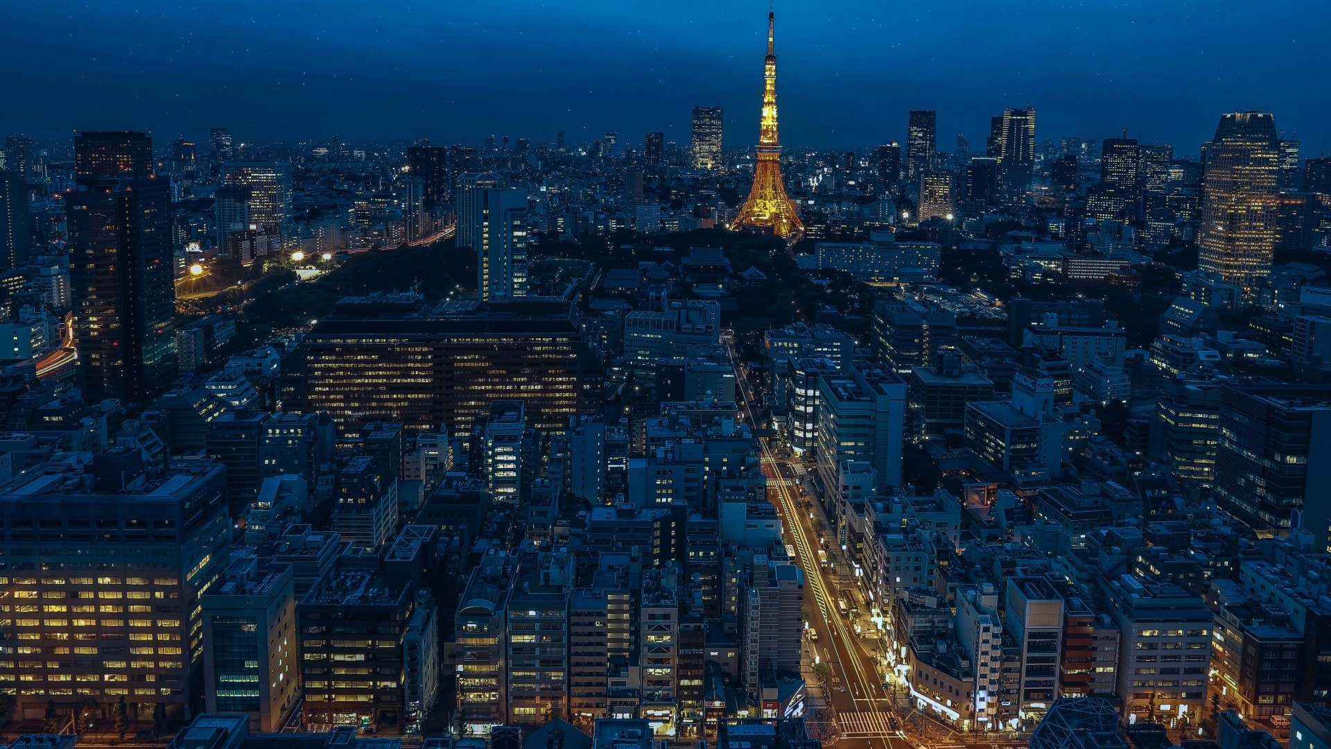 风景 城市夜景