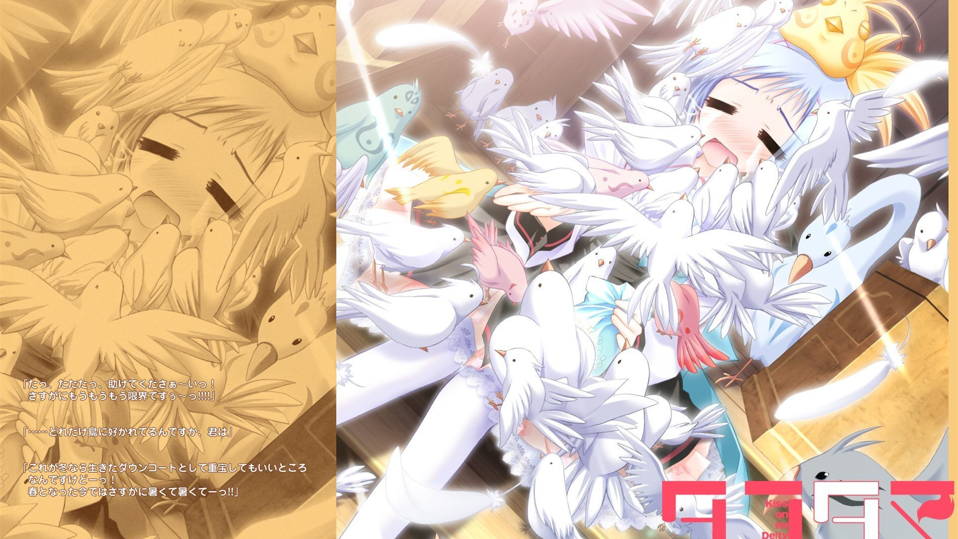 游魂 Kiss on my Deity 少女 少年 情感 动漫