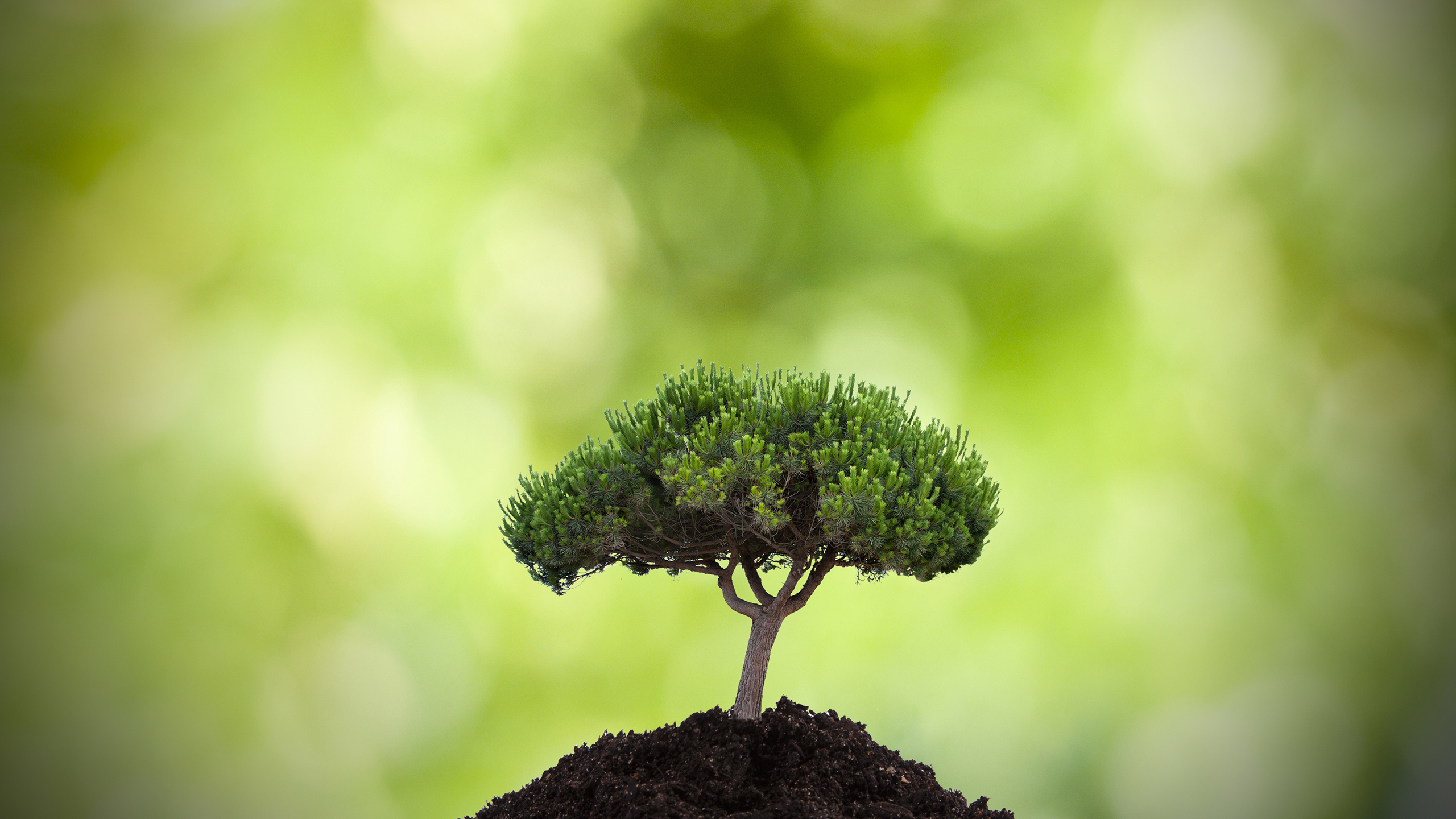 小清新 舒缓压力