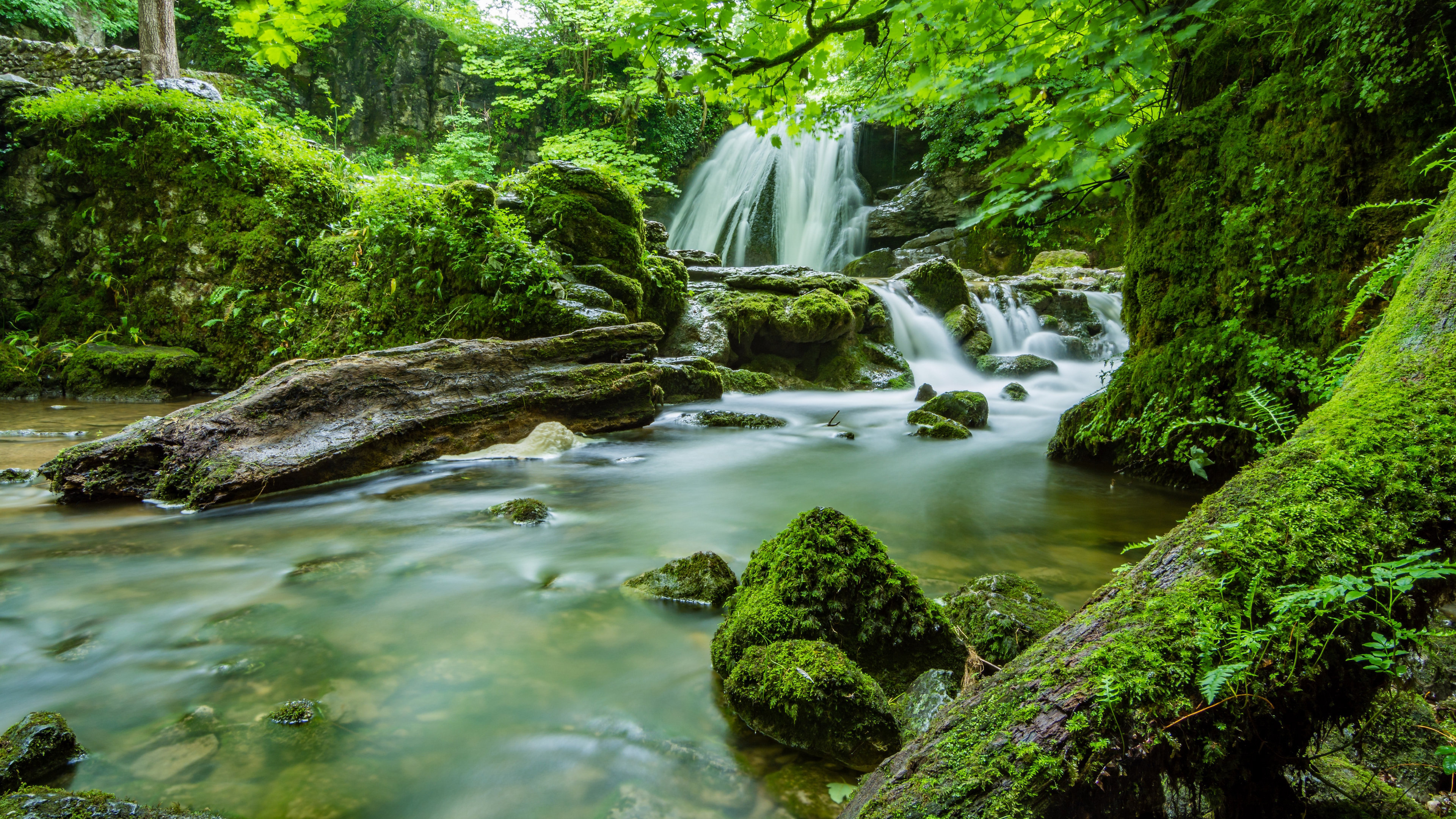 绿树成荫的小溪流水