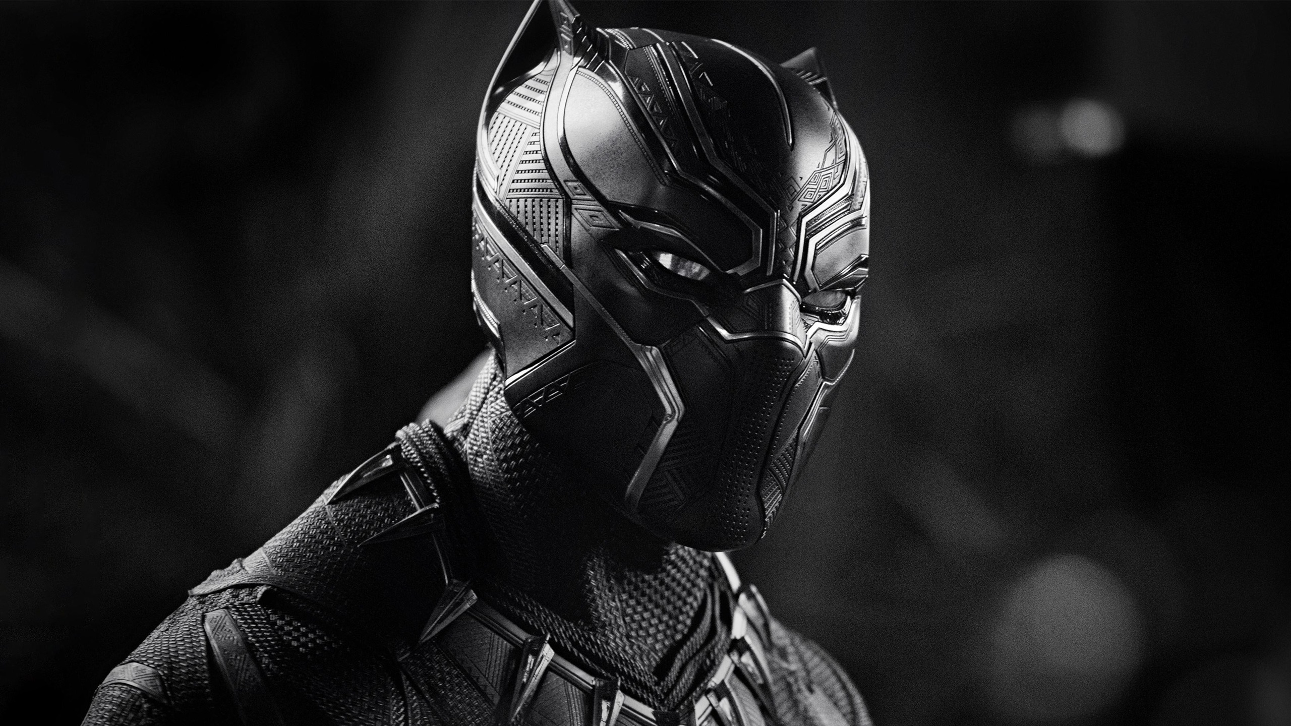 影视 电影 漫威 黑豹