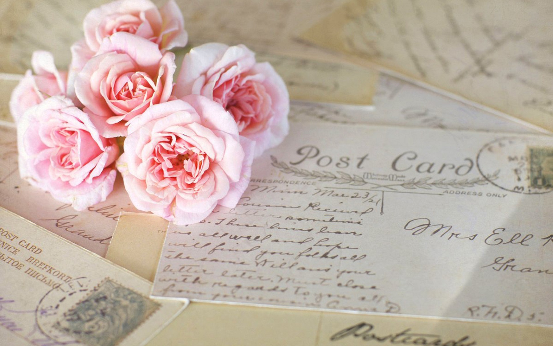 唯美温馨 玫瑰花 信纸