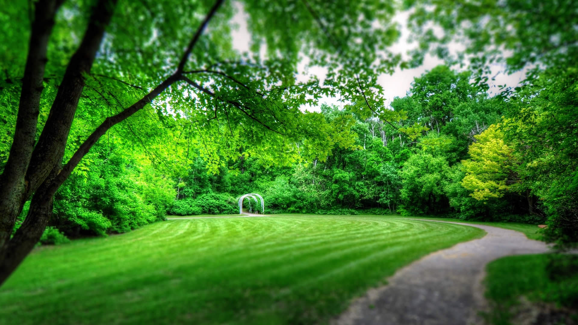 小清新  春意  绿意