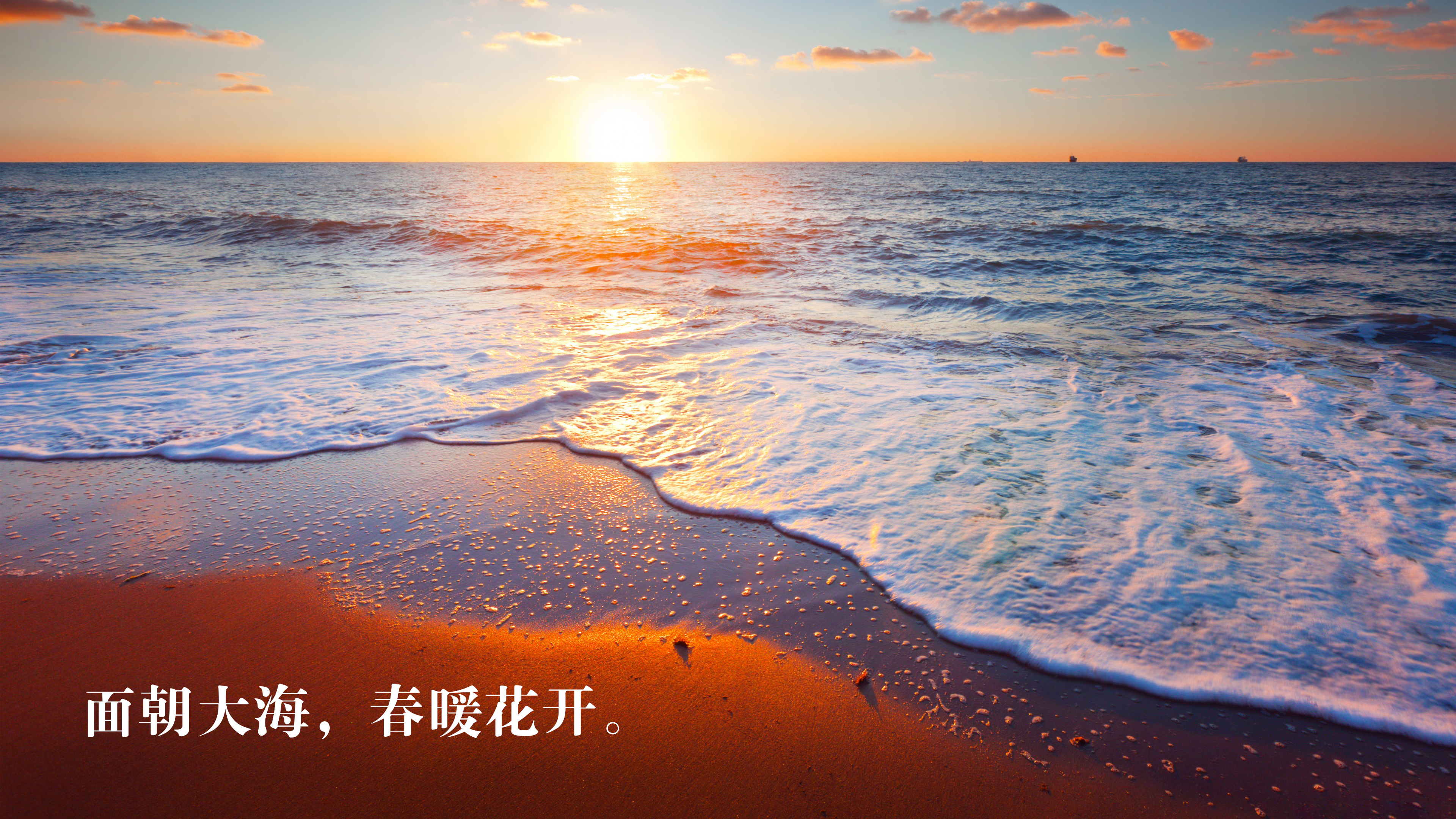 文字控 面朝大海 春暖花开