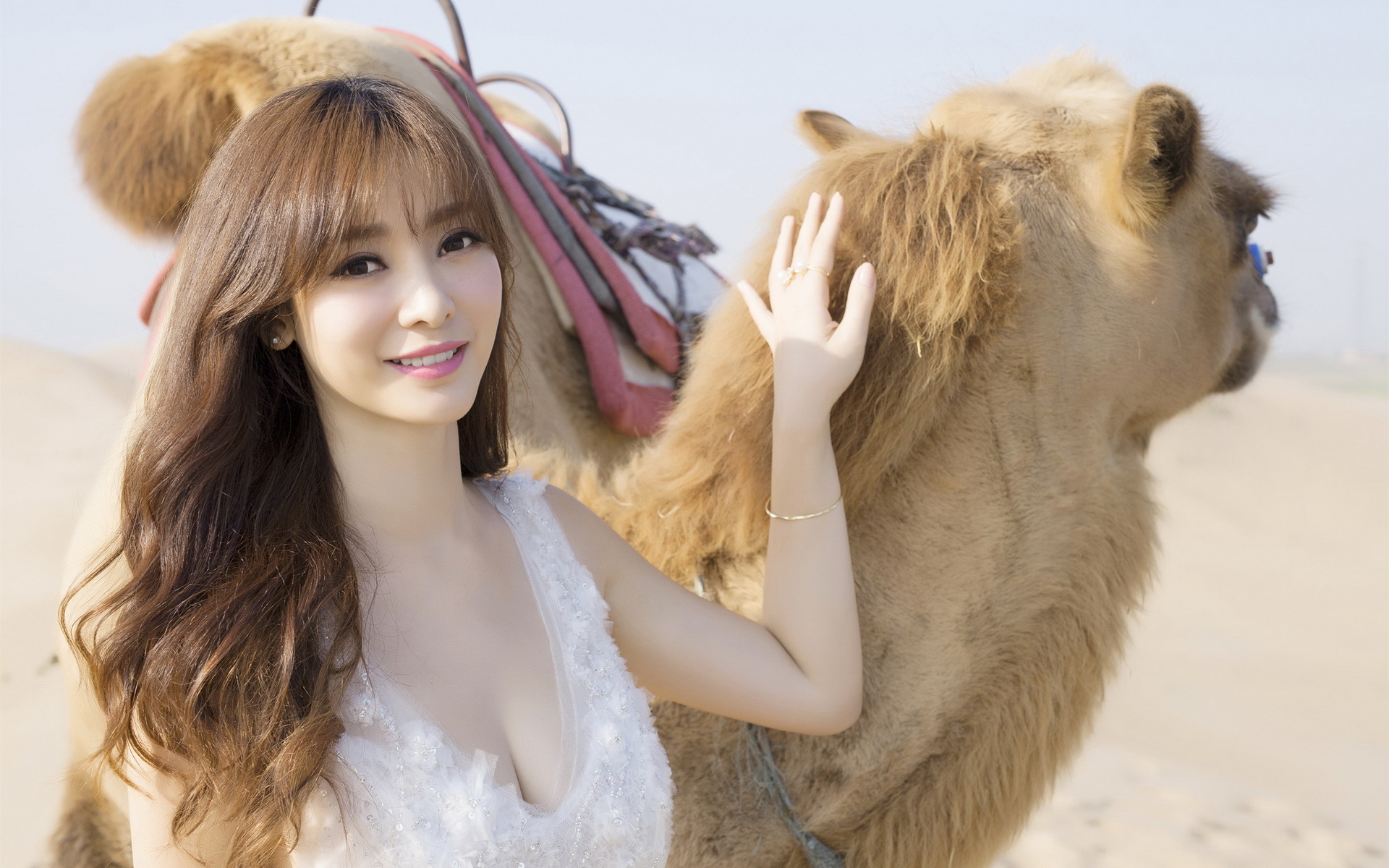 明星 柳岩 美女 性感