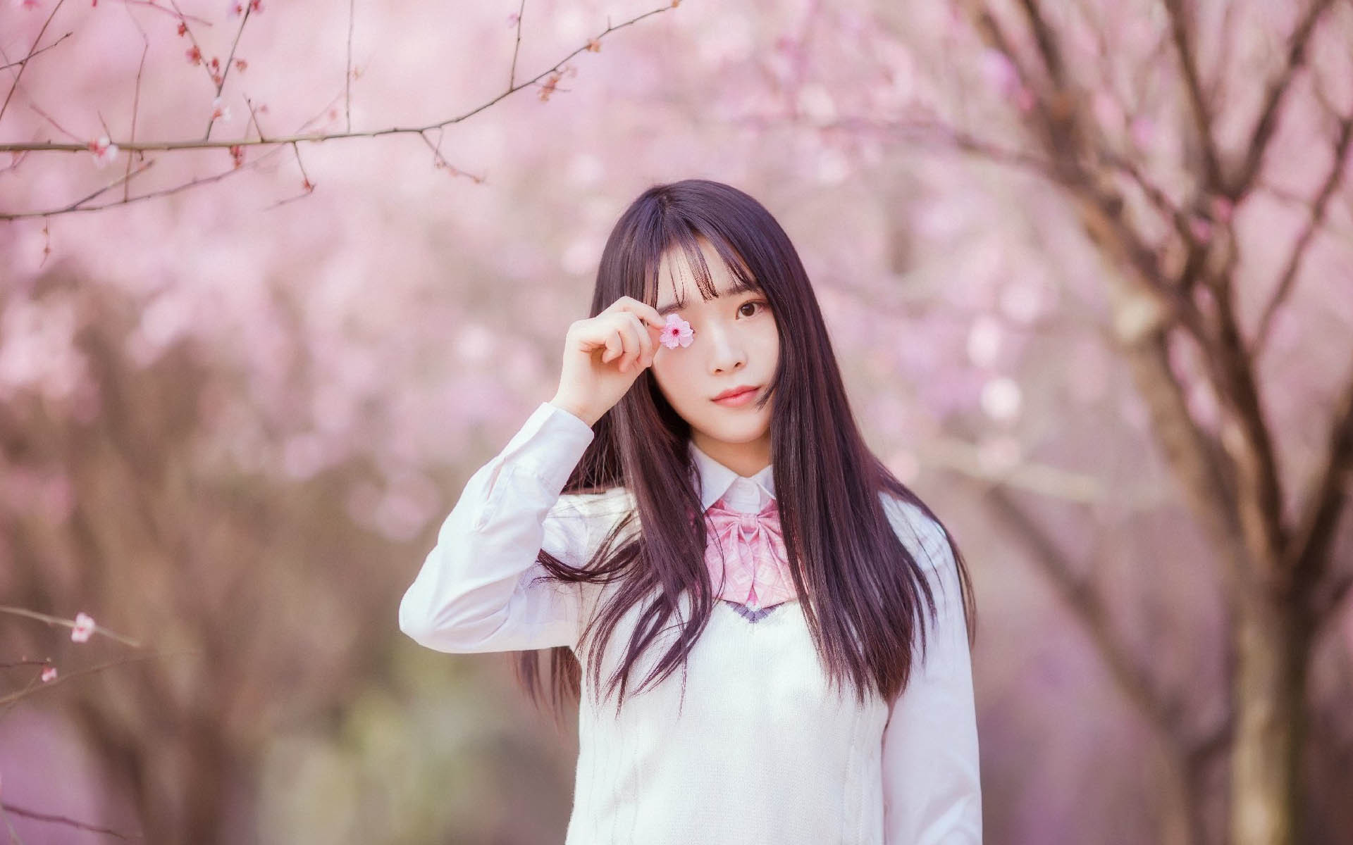 文艺古风 唯美 日系 桃花