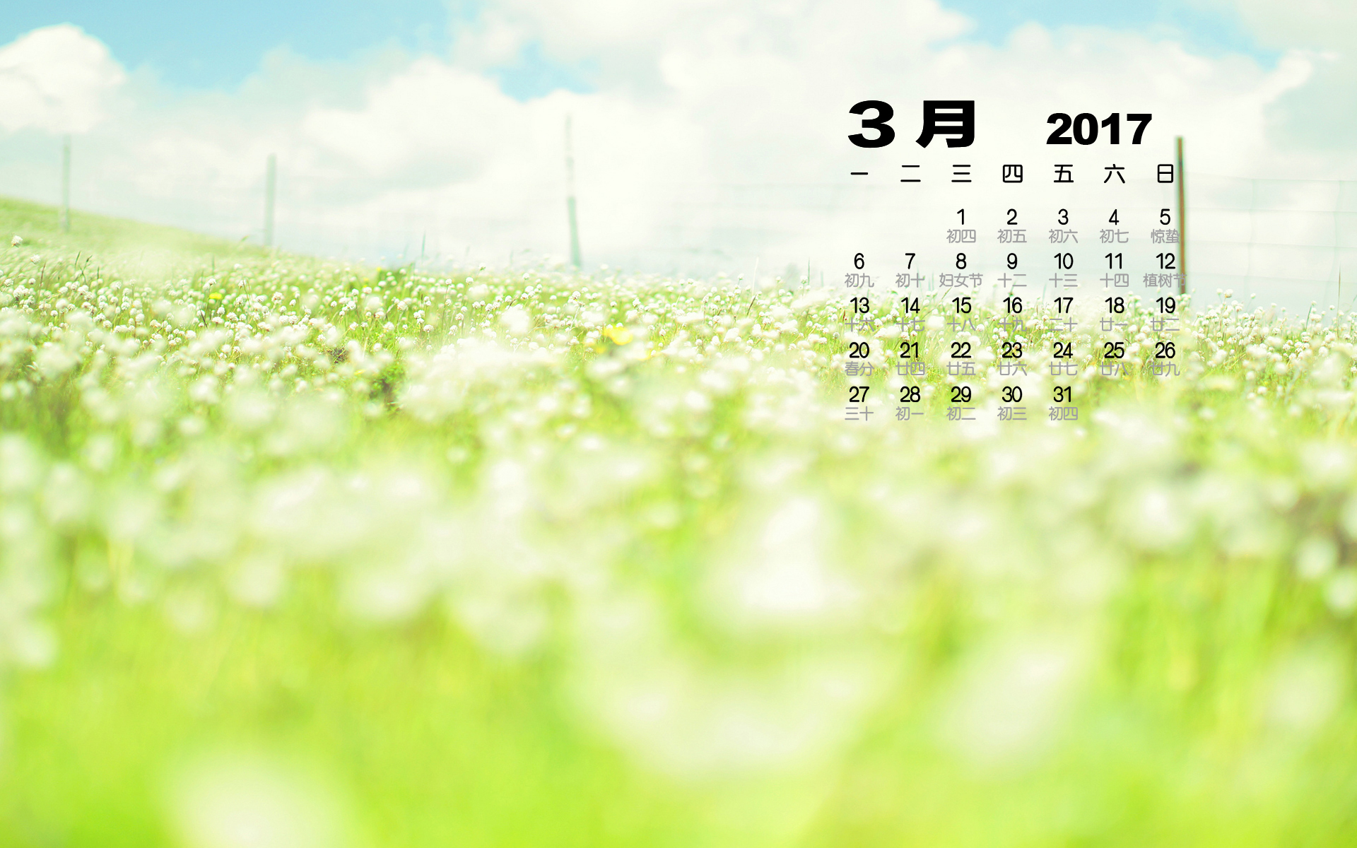 2017年3月 小清新