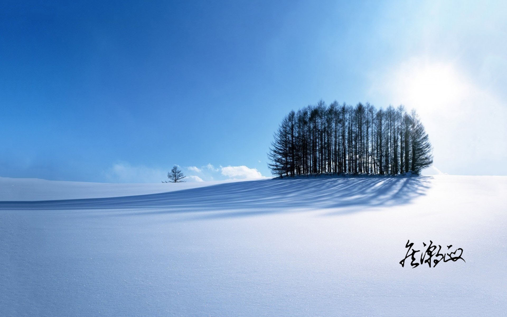 风景 雪原 冬季