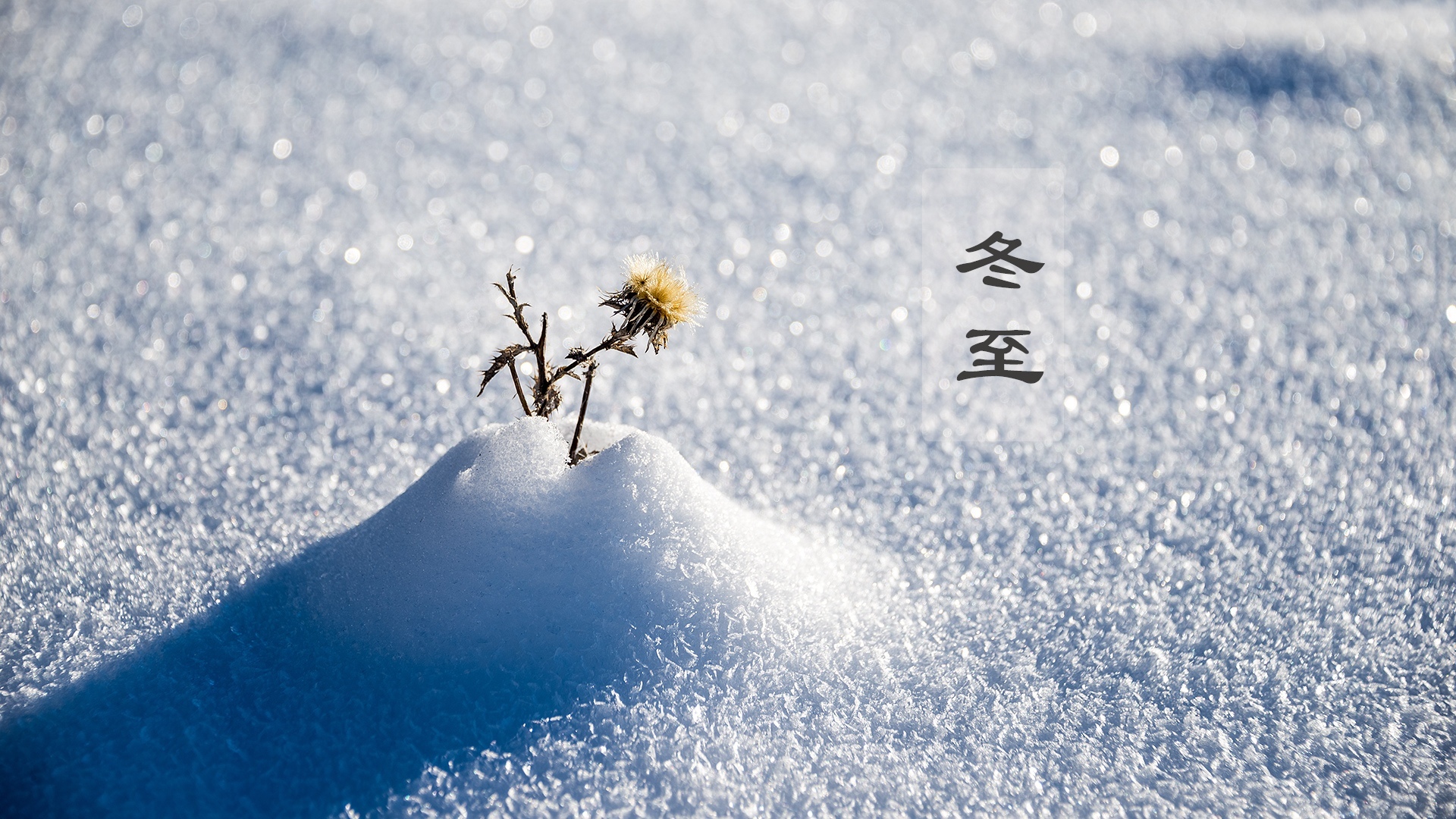 节日美图  冬至  雪景