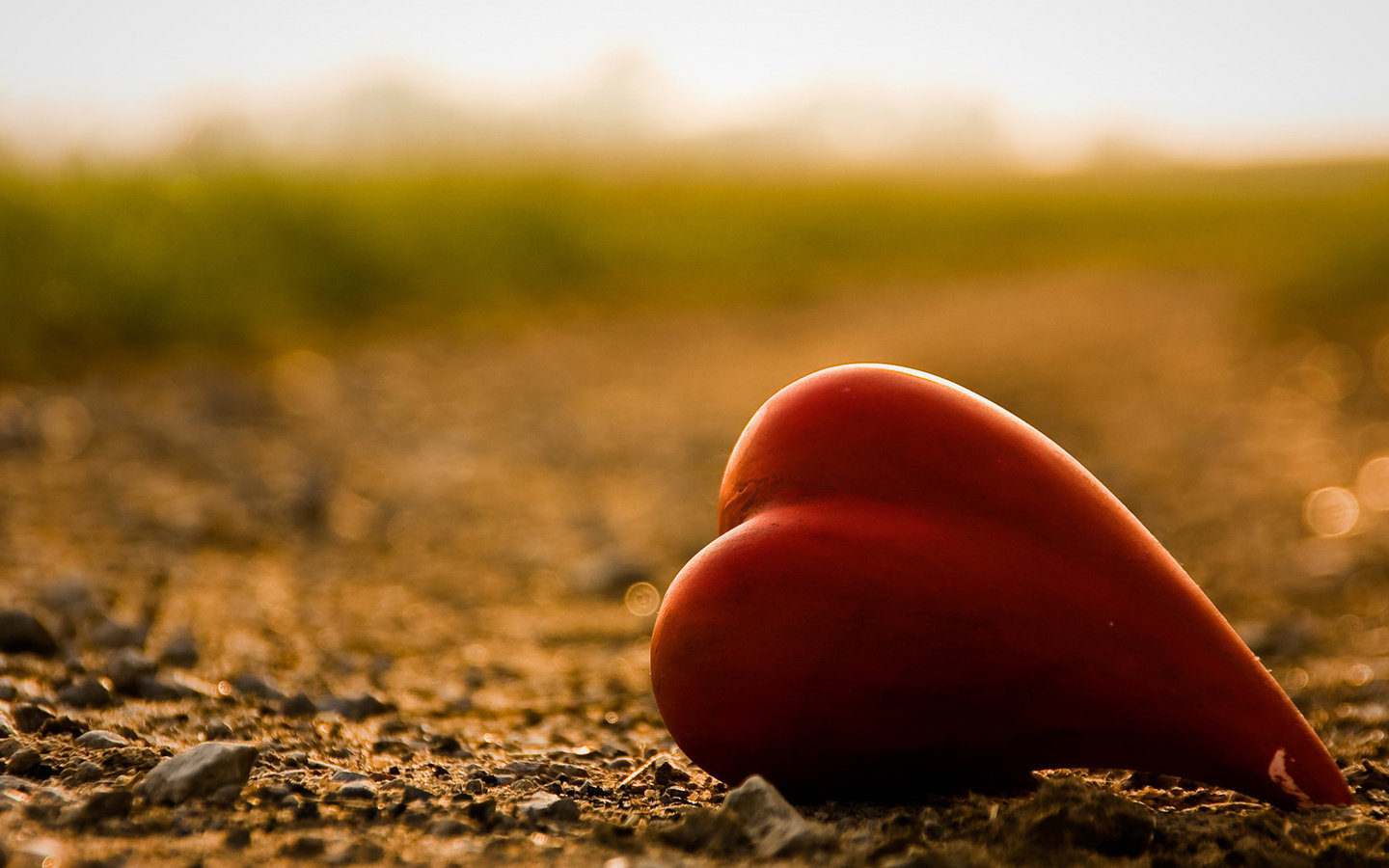 爱情 爱心 一颗红心 宽屏