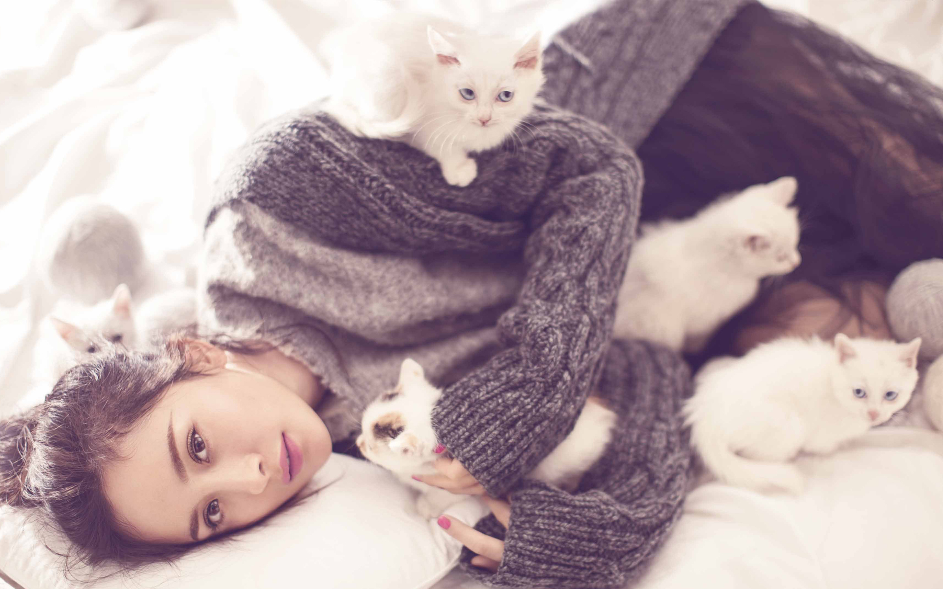 杨幂 写真 冬日 猫咪