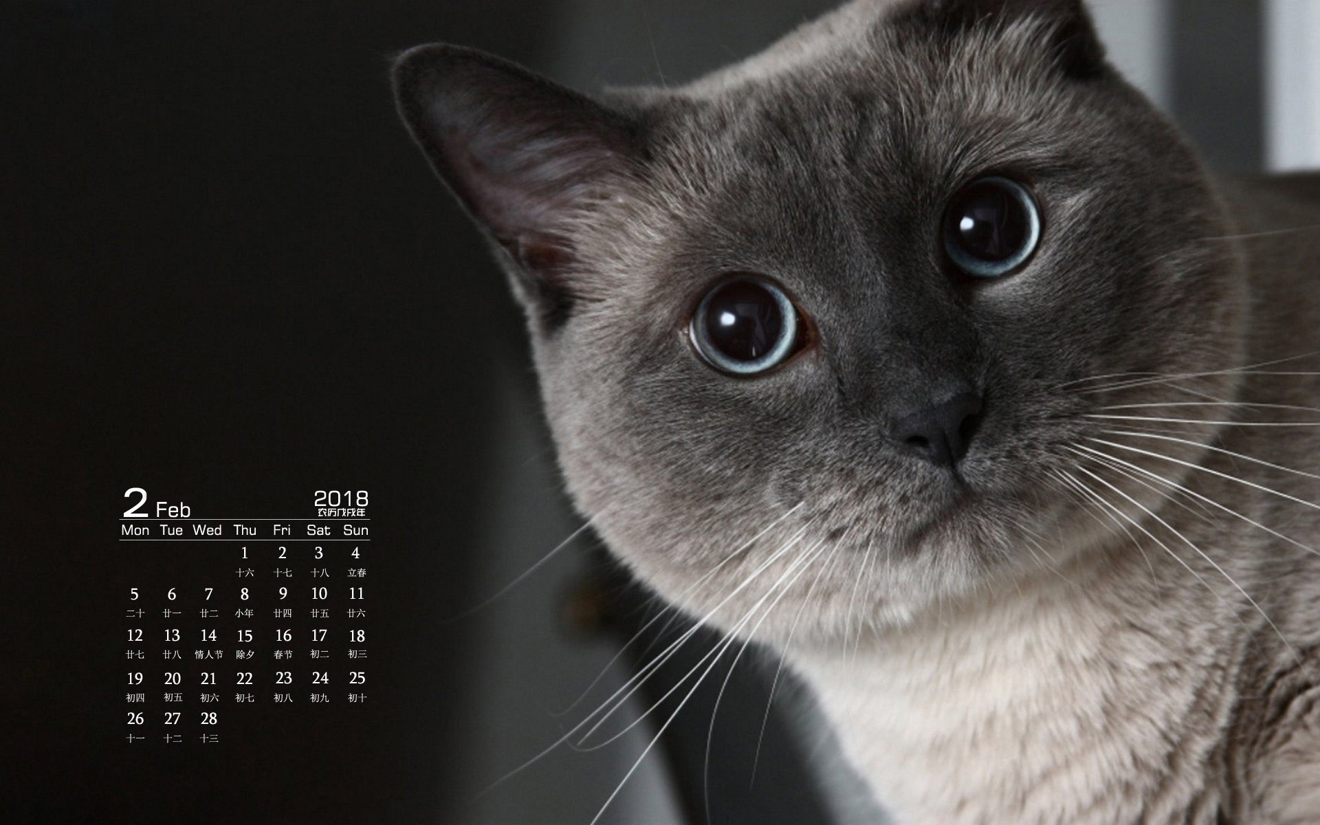 月历 2018年2月
