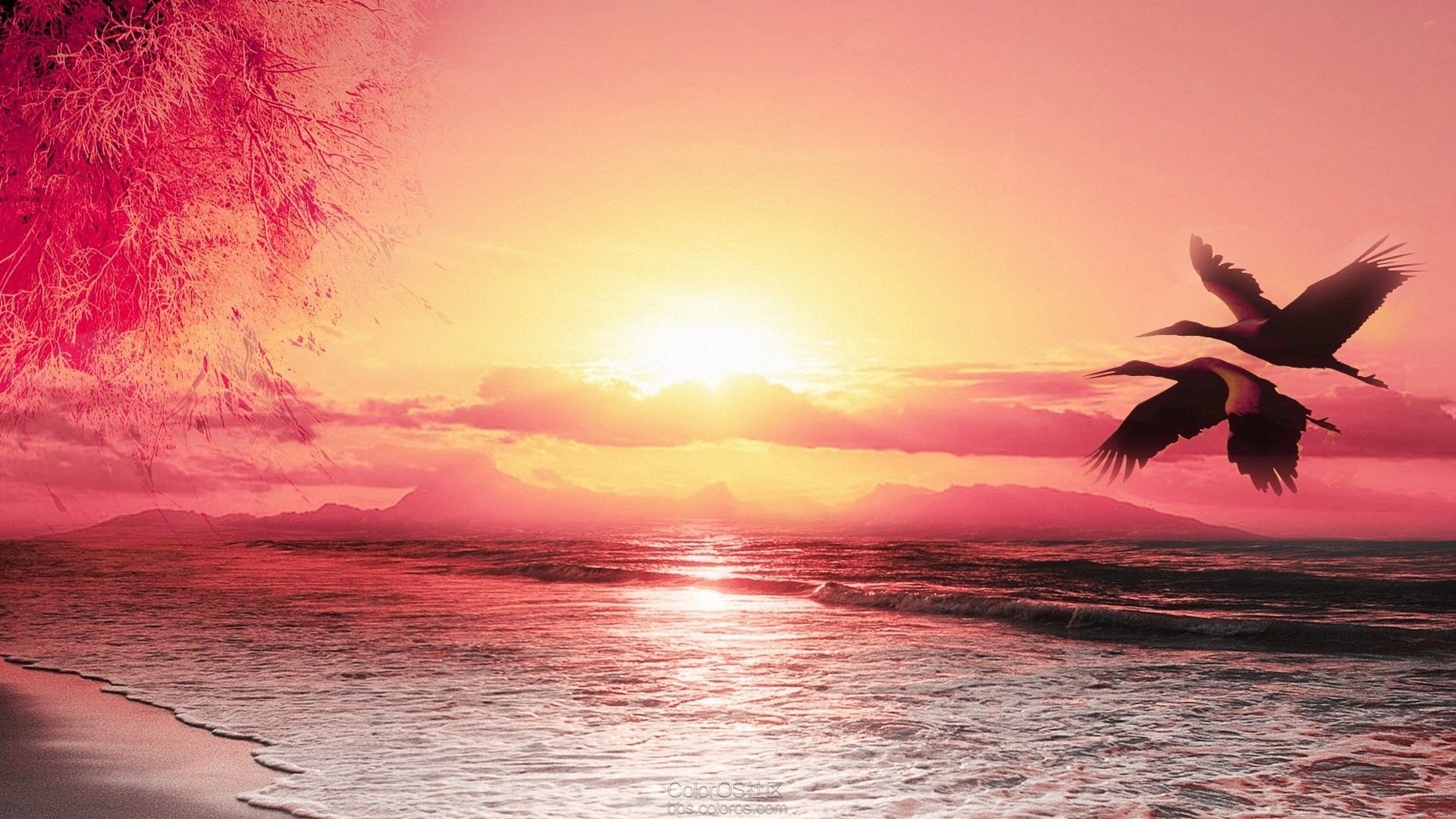 风景 自然风景 夕阳 落日 黄昏
