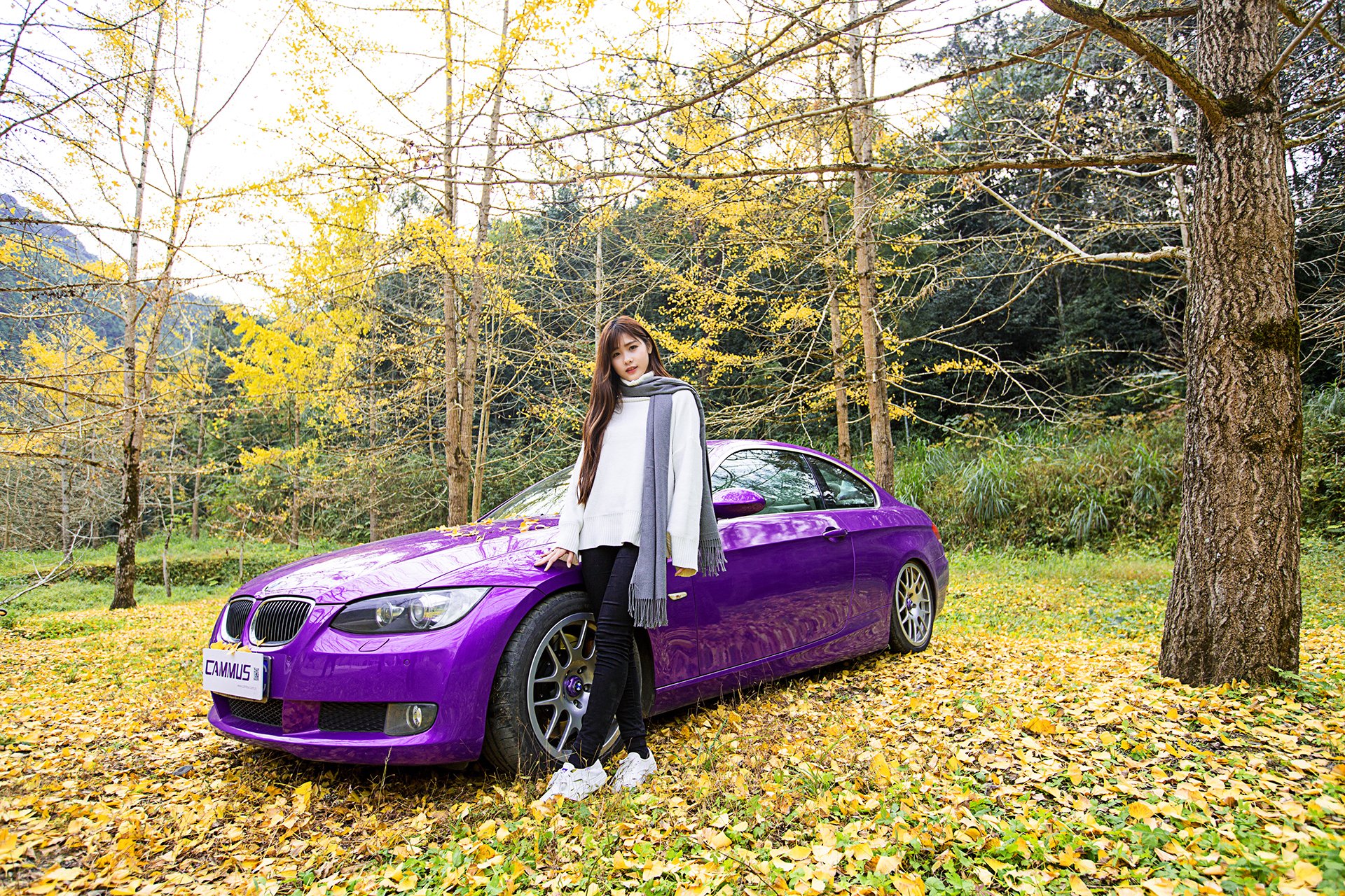 宝马 紫色跑车 车模