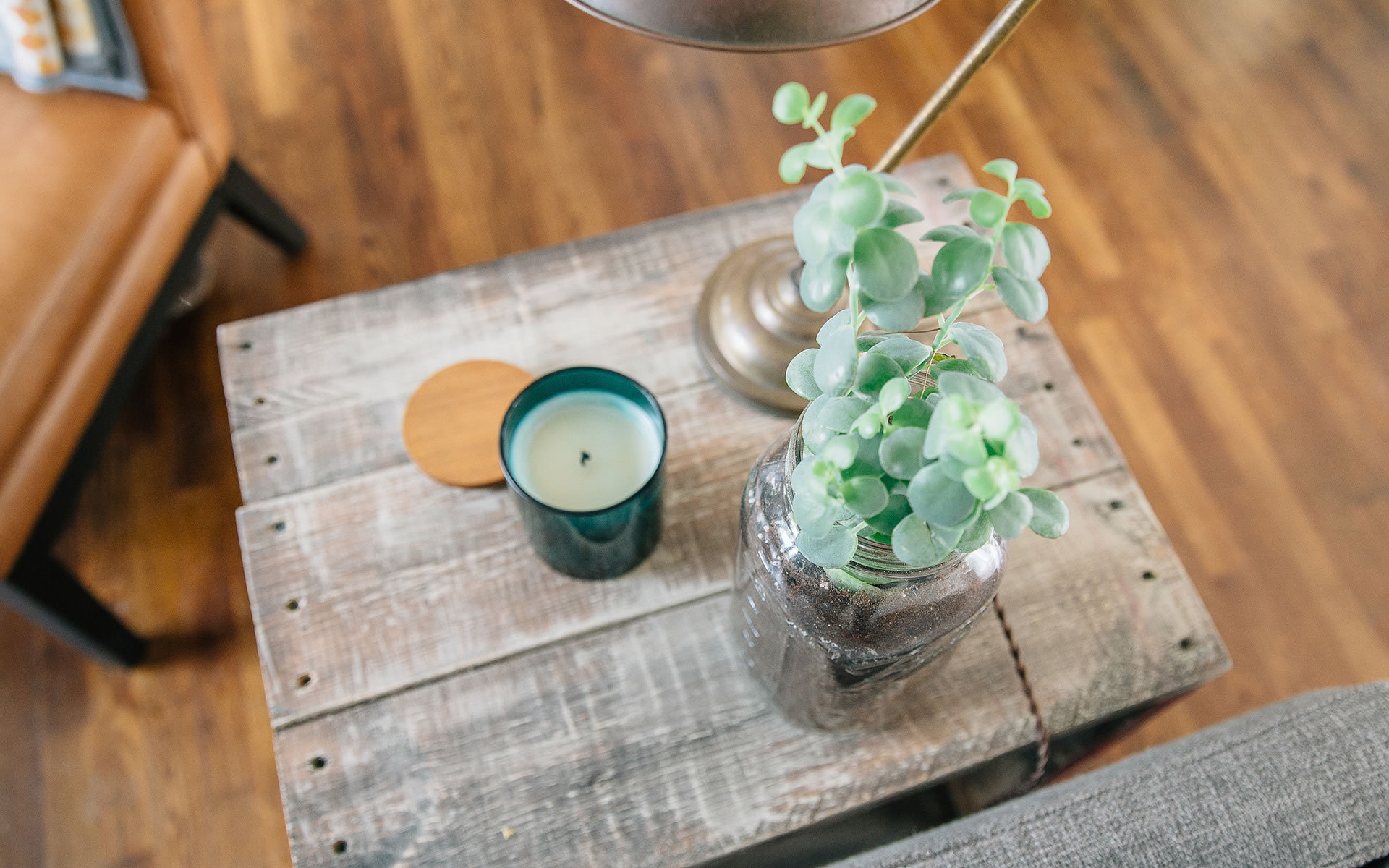 小清晰 家居 植物