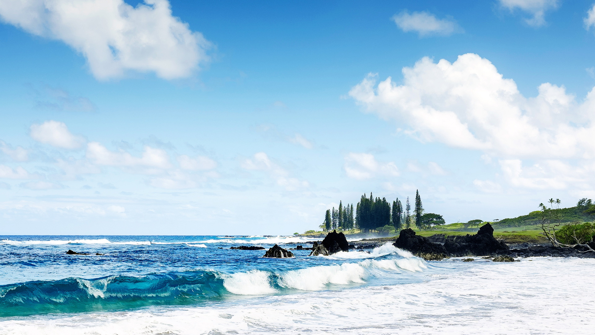 风景 大海