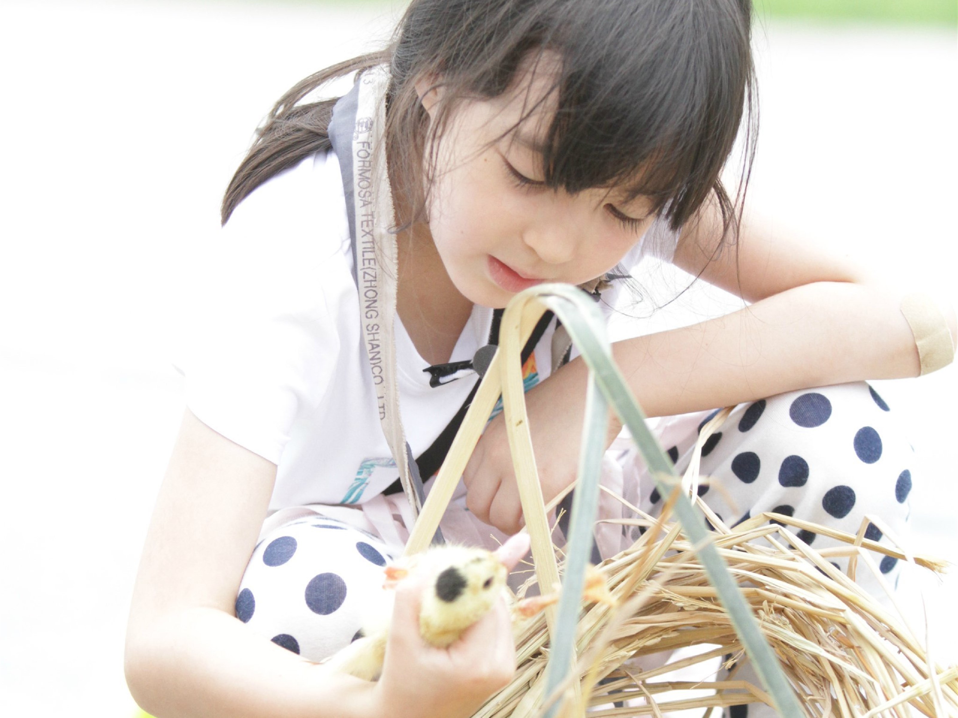 爸爸去哪儿 夏天