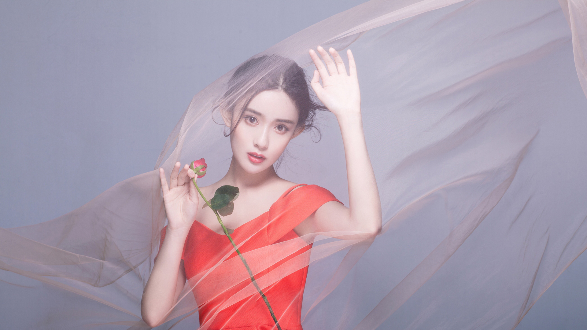 内地明星 孟子义