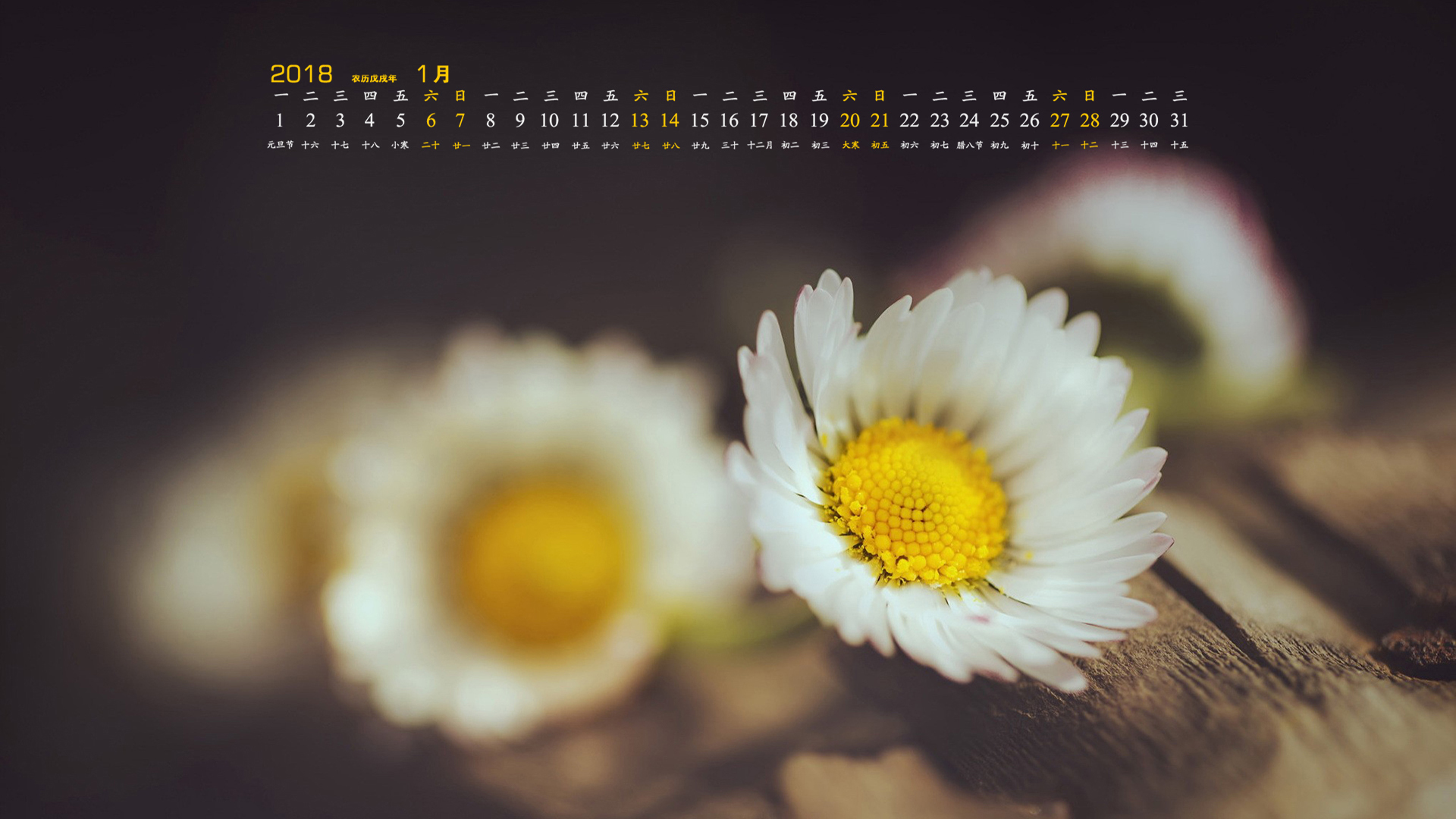 月历 2018年1月