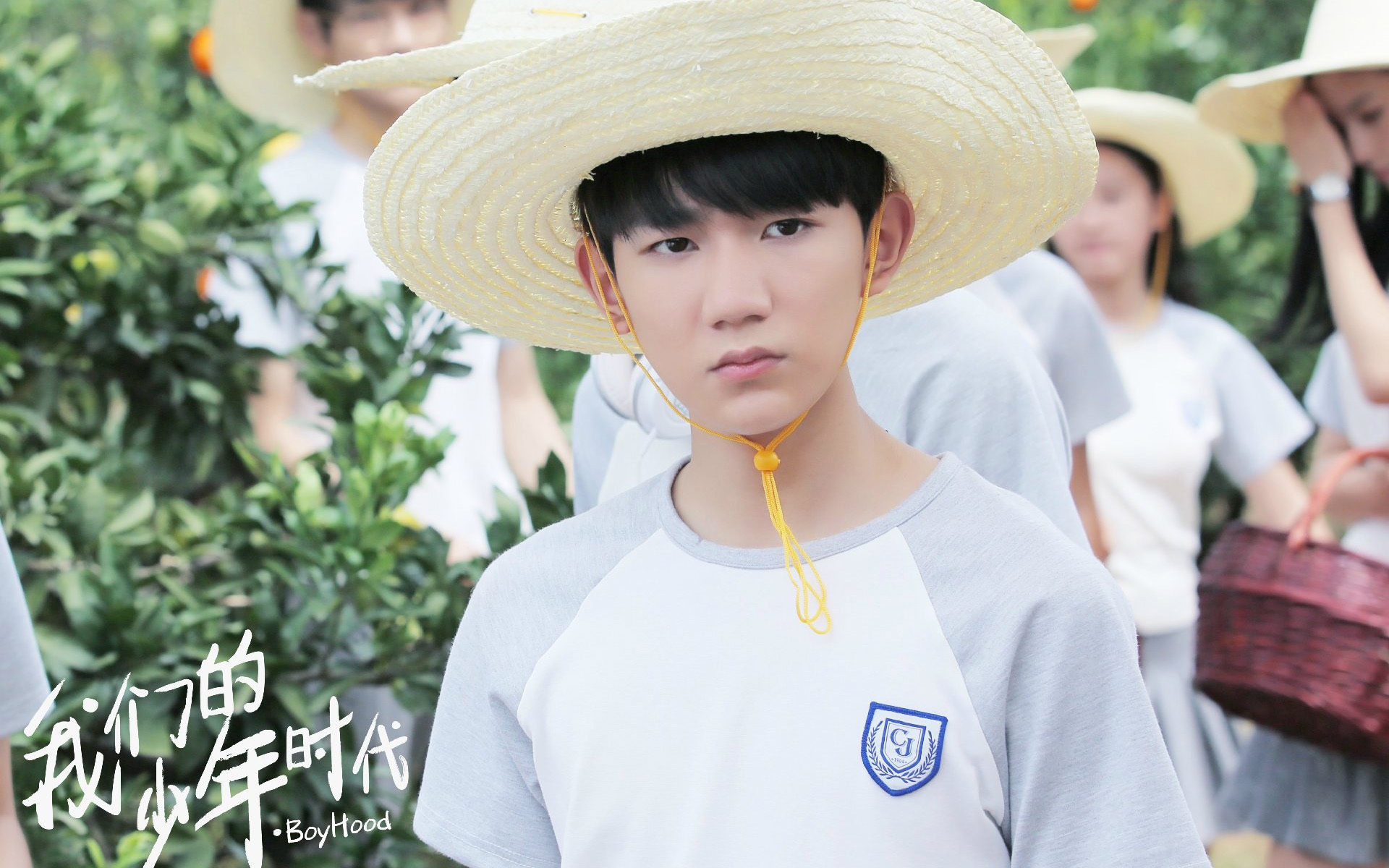 影视 电视剧 我的少年时代 王源 TFBOYS