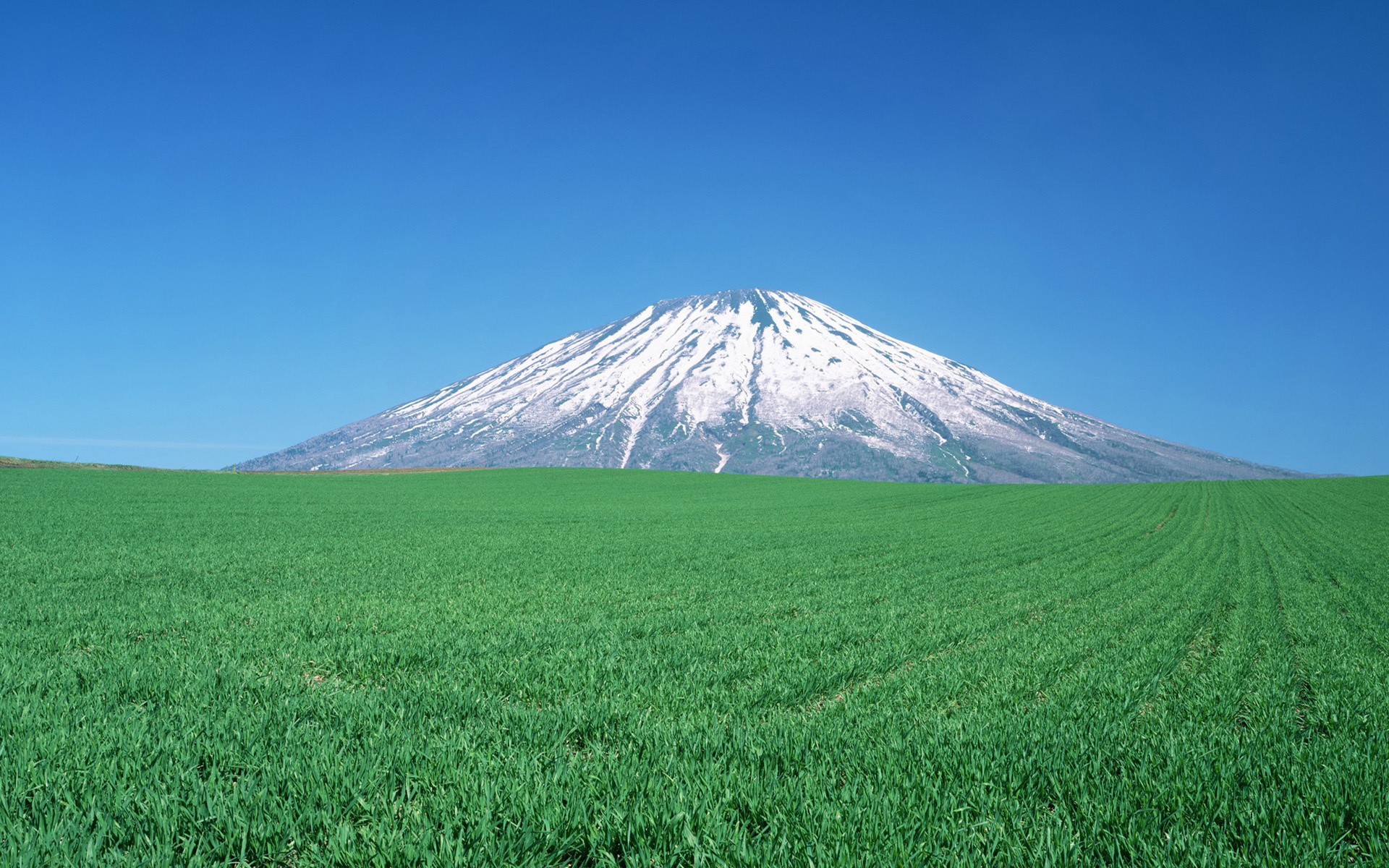 风景 自然风光 草地 日本 北海道 山峰