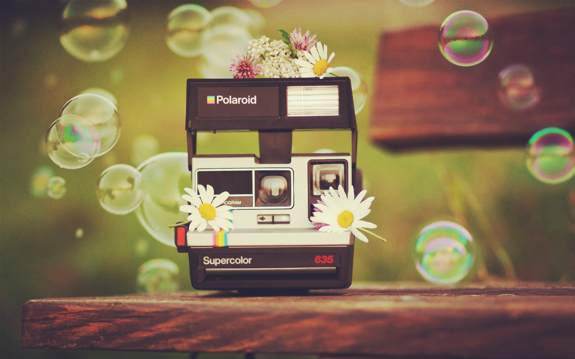 小清新 清新 简单 可爱