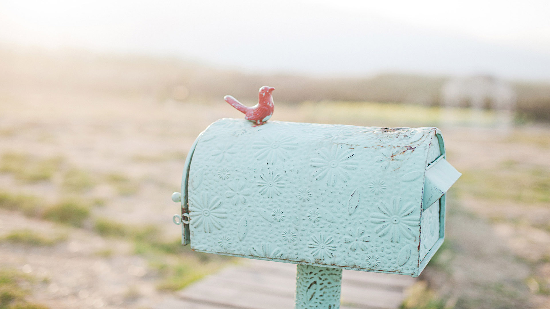 小清新 静物写真 信箱