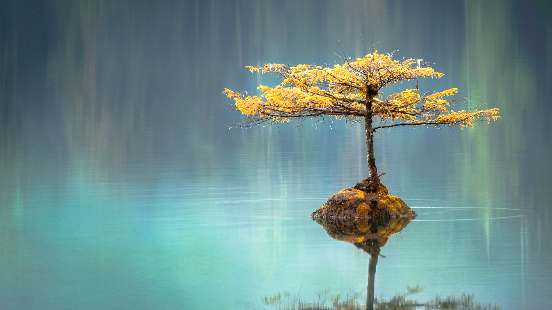 风景 湖泊 倒影