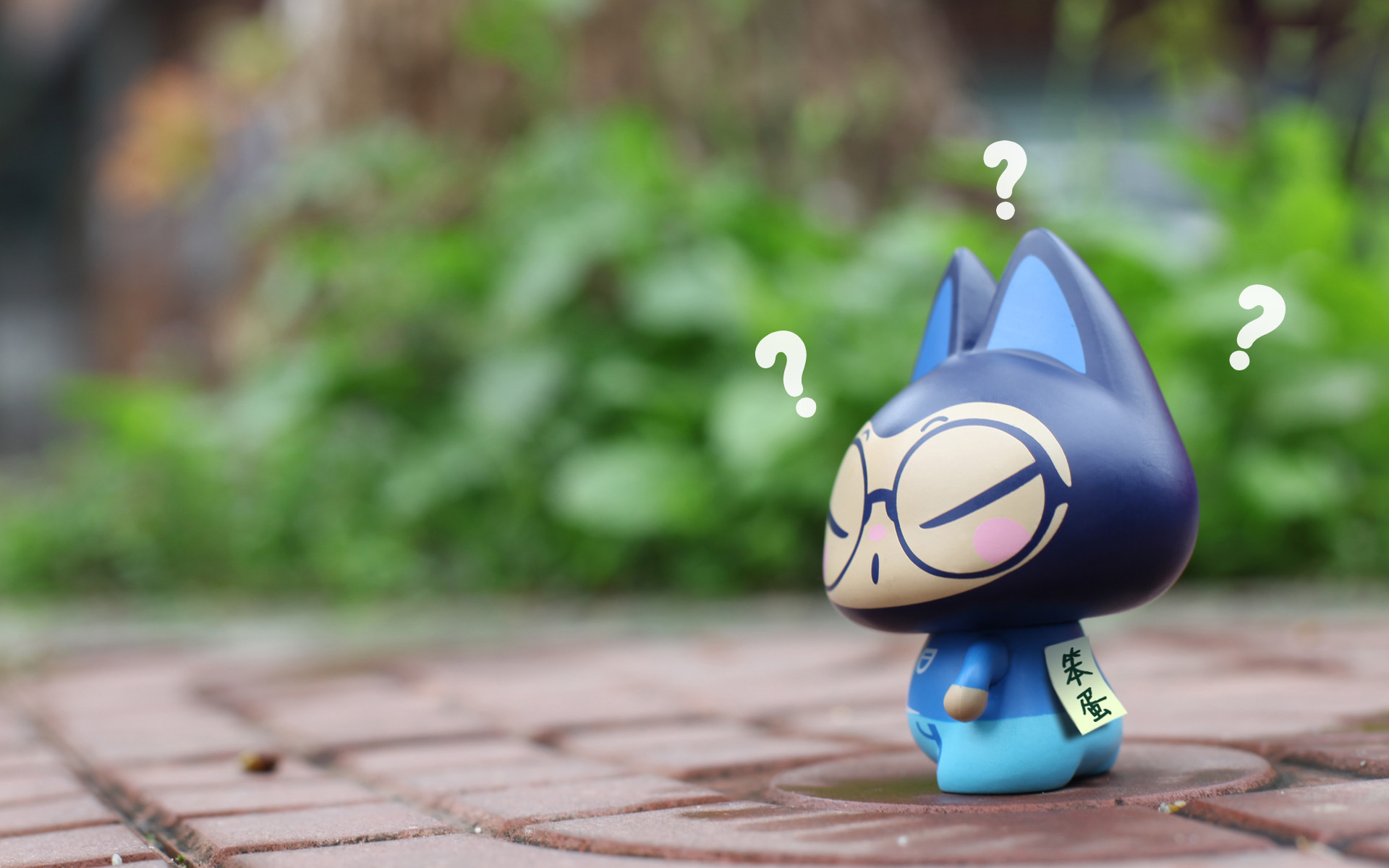 愚人节 拽猫 笨蛋