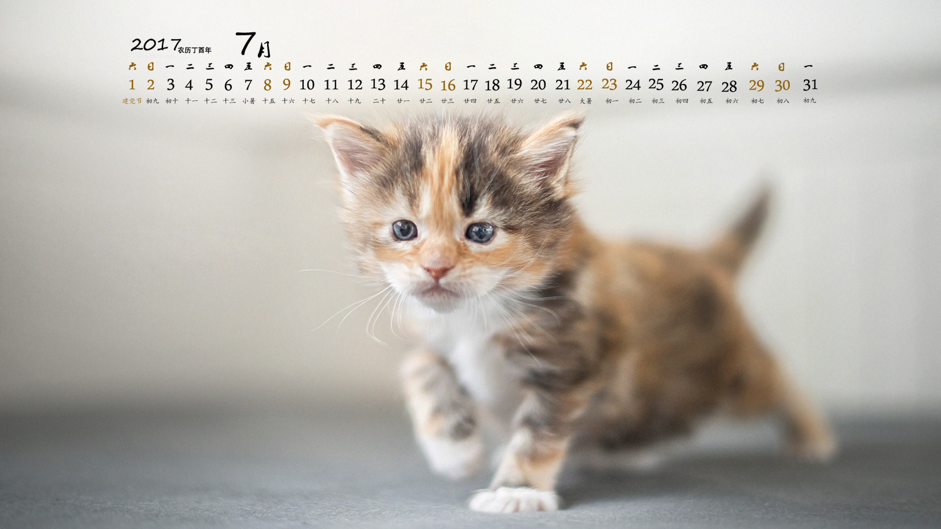月历壁纸 2017年7月