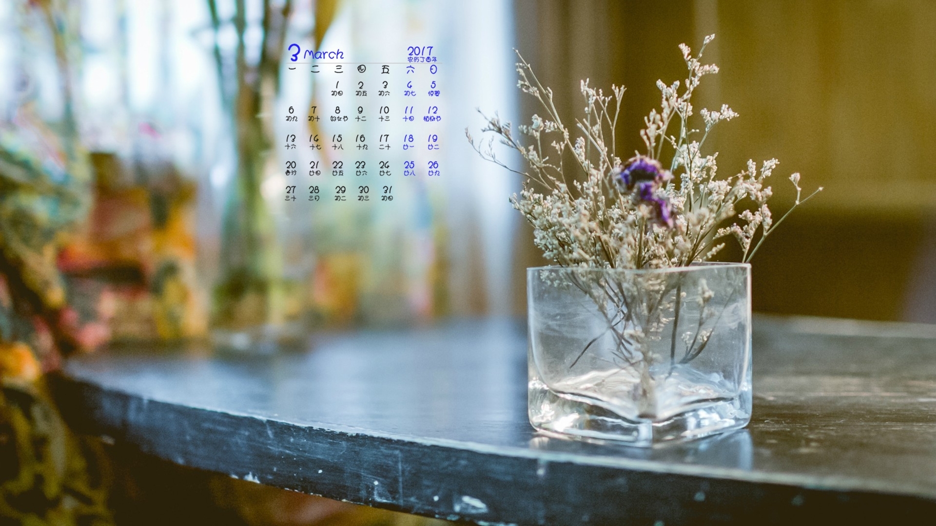 2017年3月 小清新