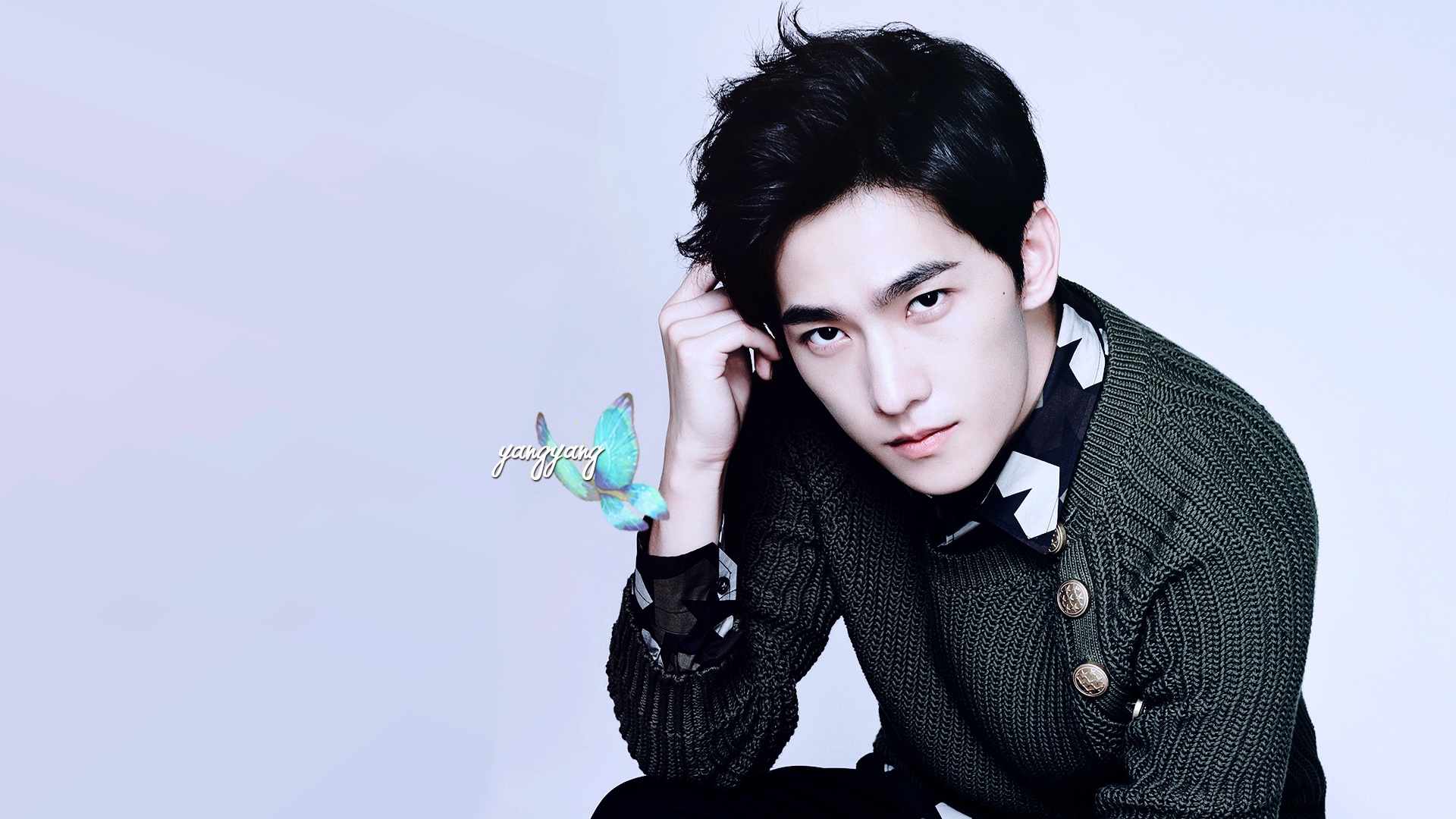 杨洋 明星 帅哥 宽屏 小鲜肉