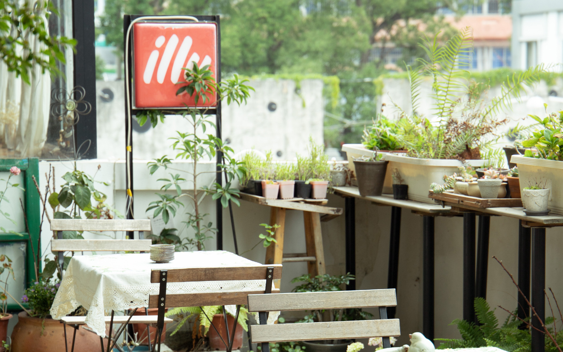 小清新 静物写真