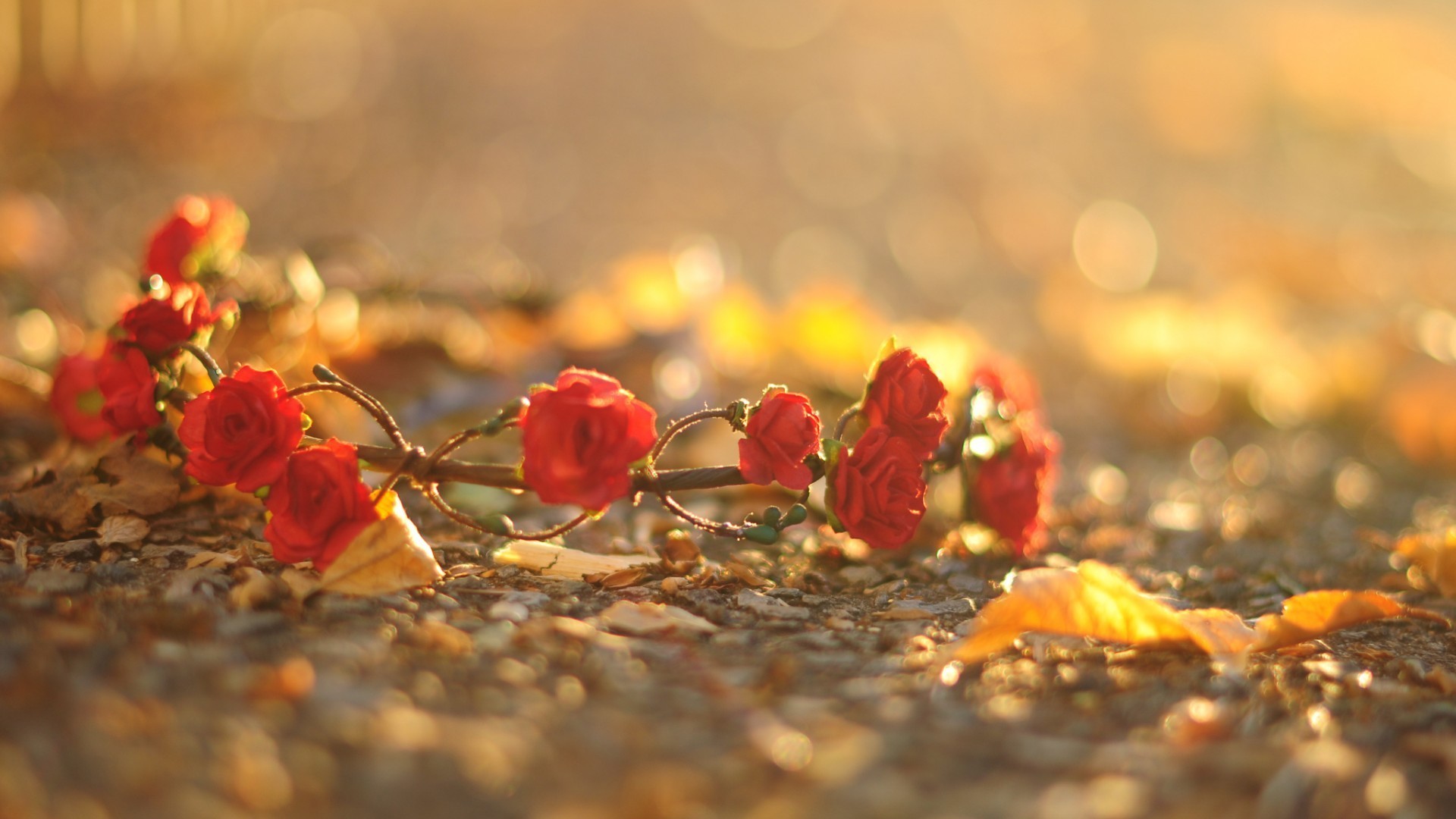 小清新 简单 可爱