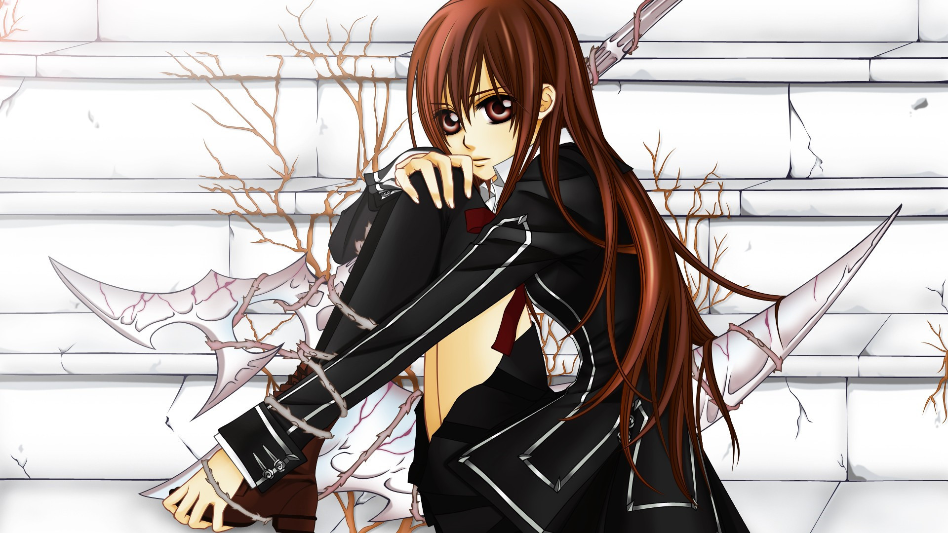 吸血鬼骑士 吸血鬼 少女动漫 高清