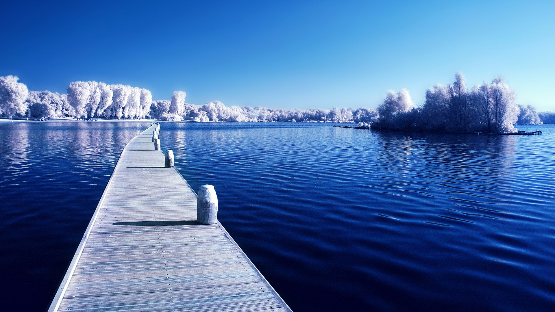 木桥 湖水 雪叶树